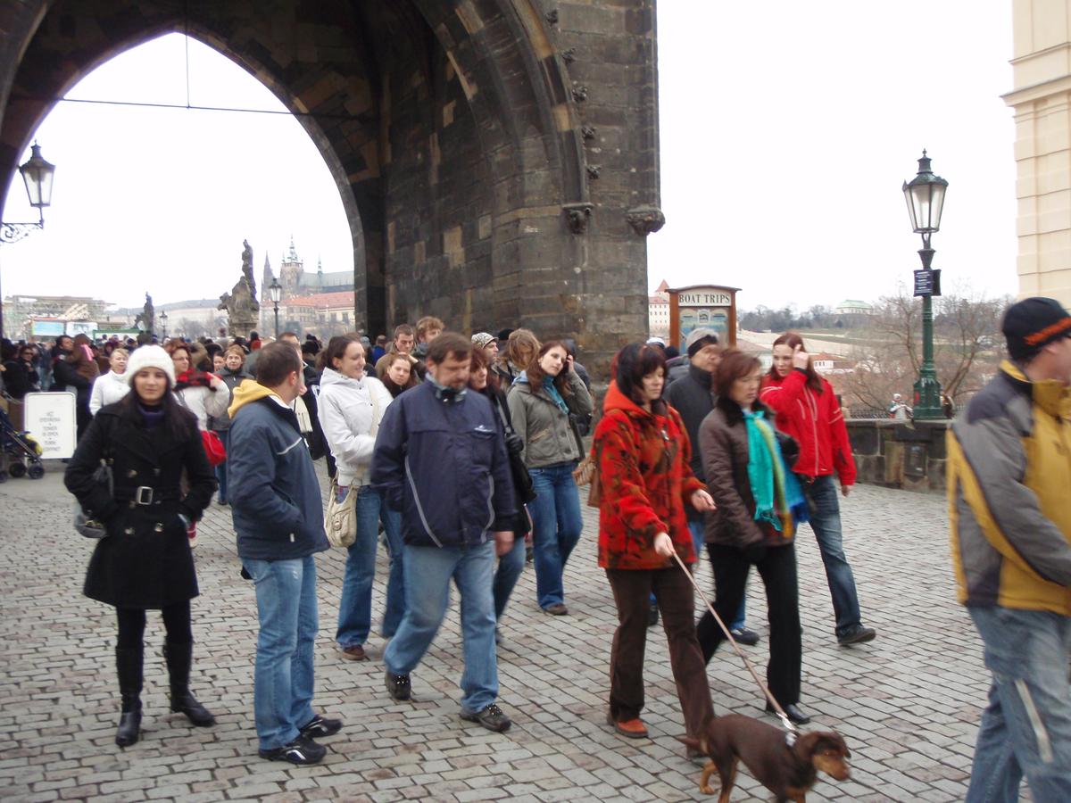 Harcovnici 08 vanoce 036