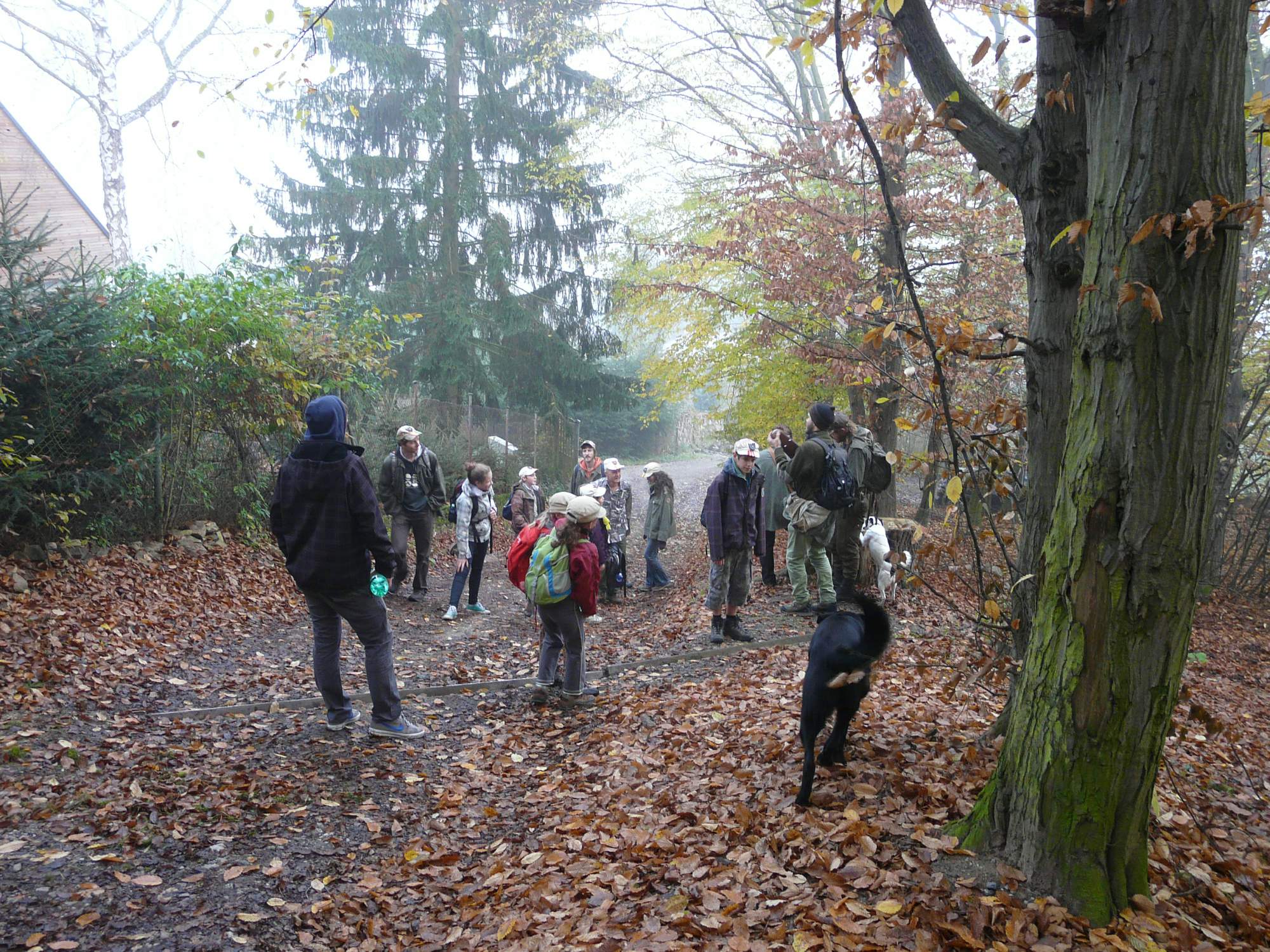 2014 11 02 Vyslap Pro Male I Velke