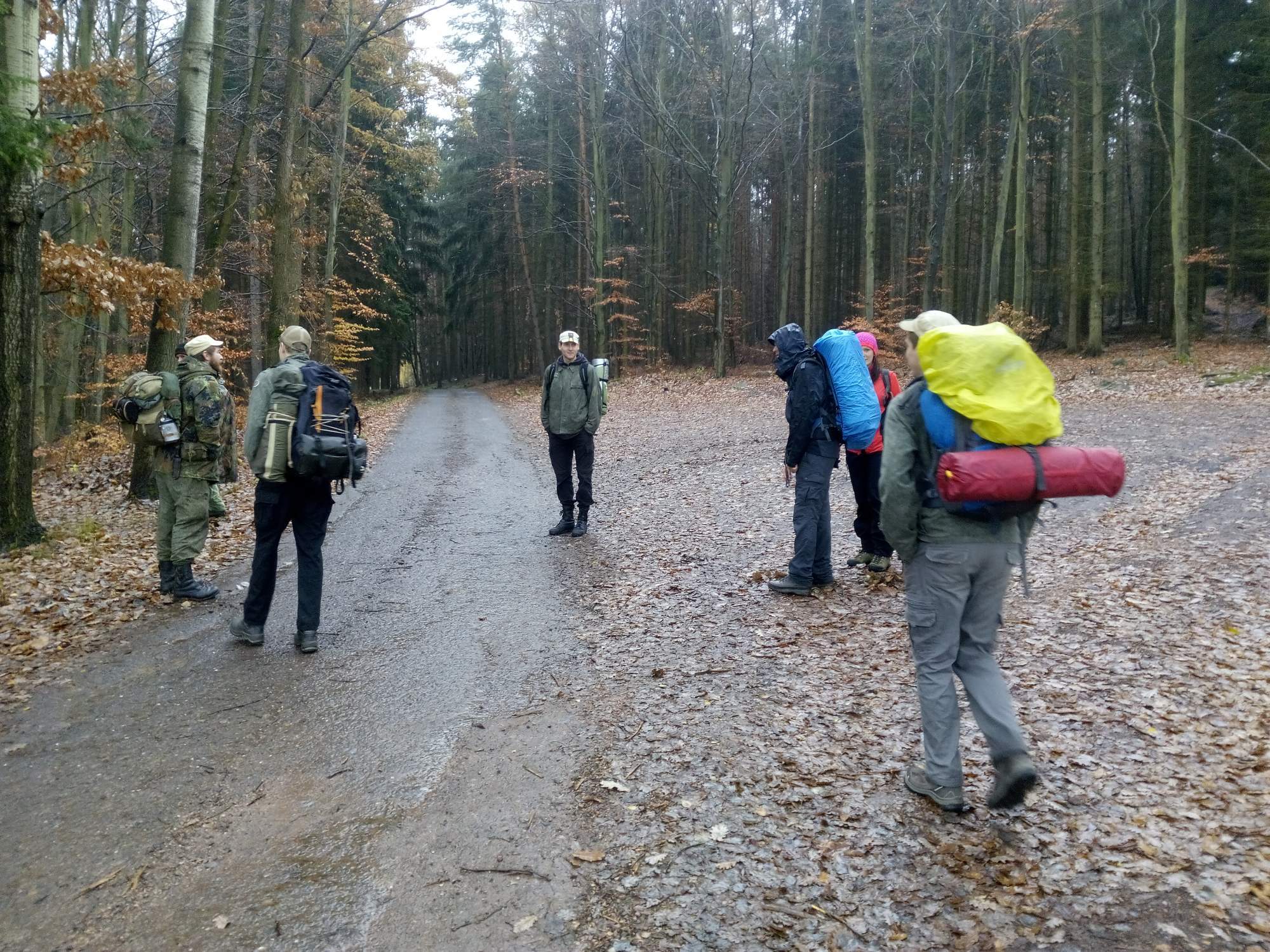 2016 11 19 Brdskymi Lesy