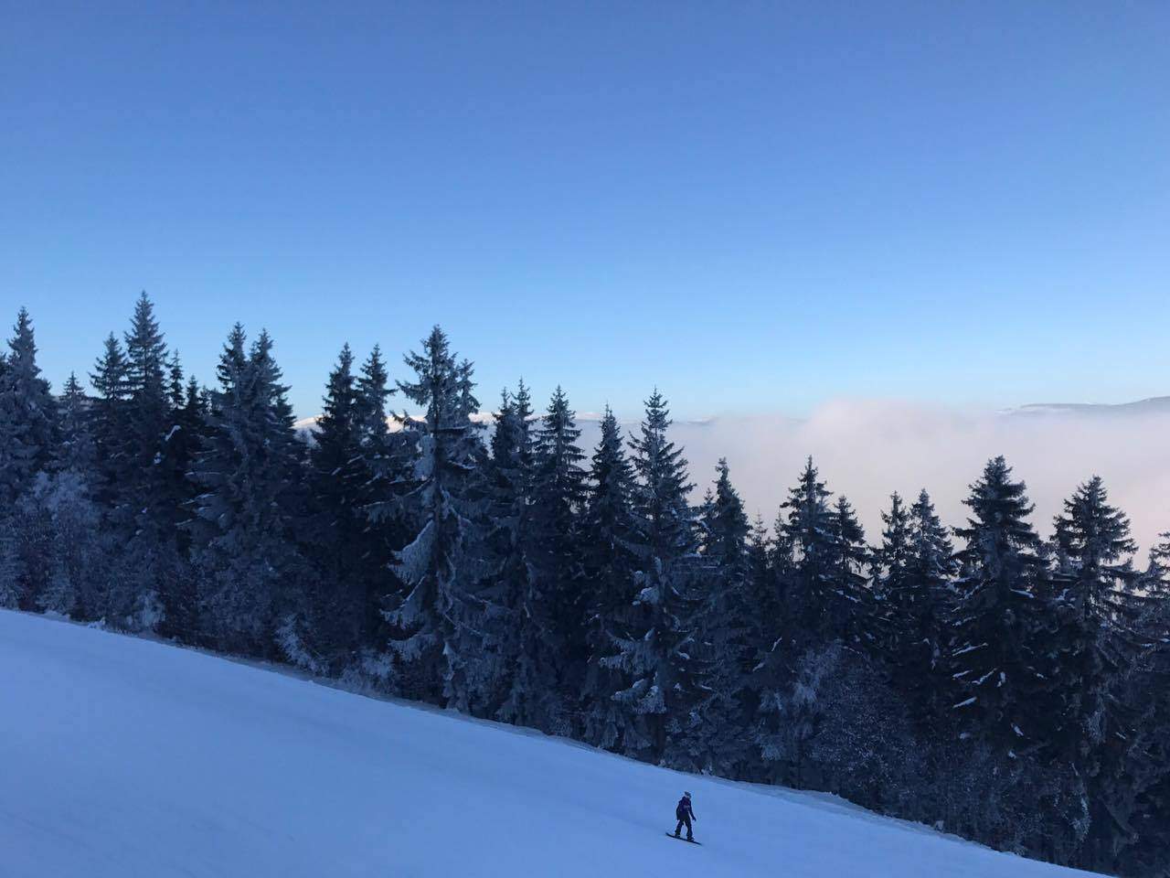 16388971 1432450563431881 1992948811 o