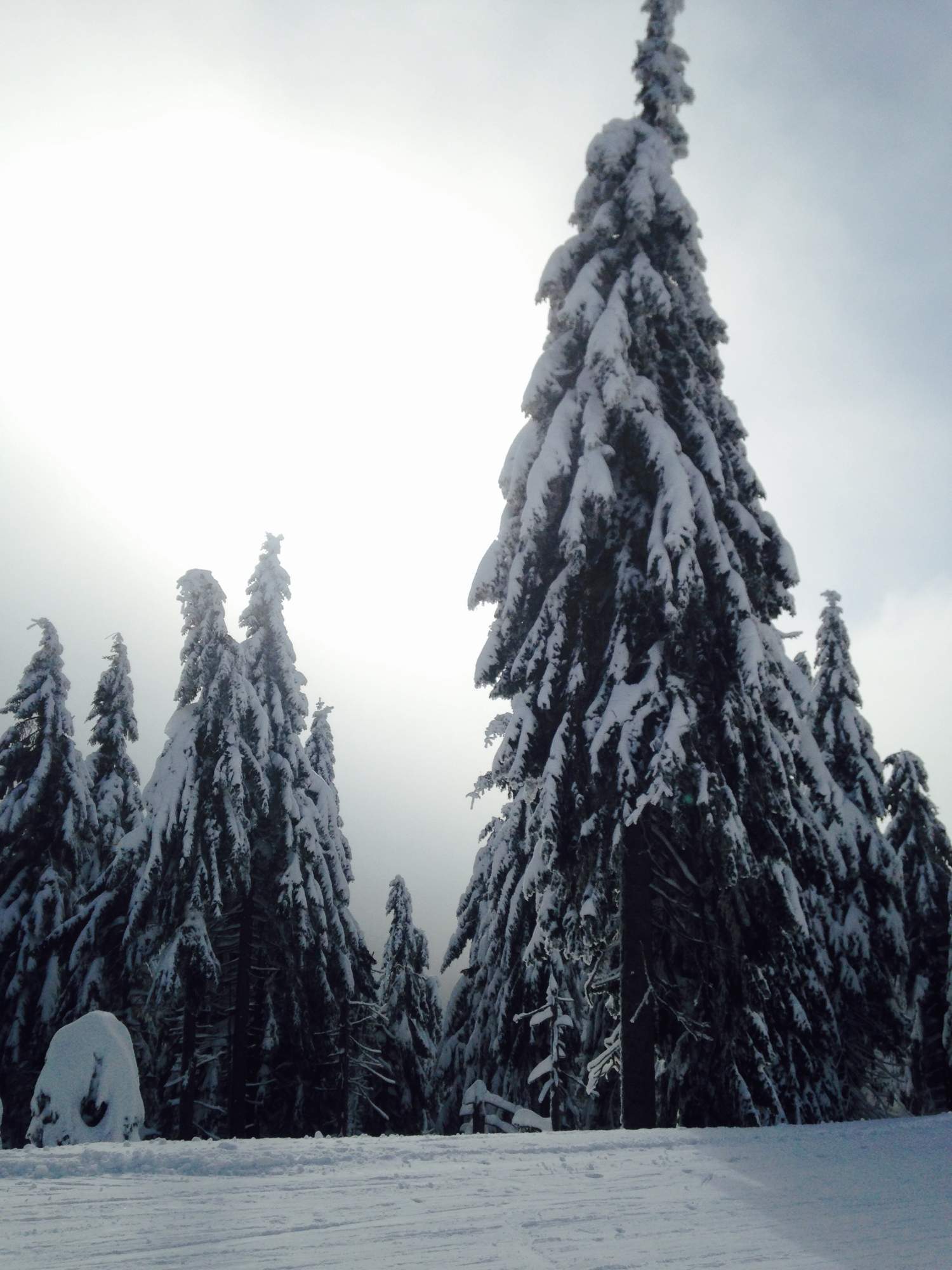 2018 01 20 Harcovnicka Lyzba