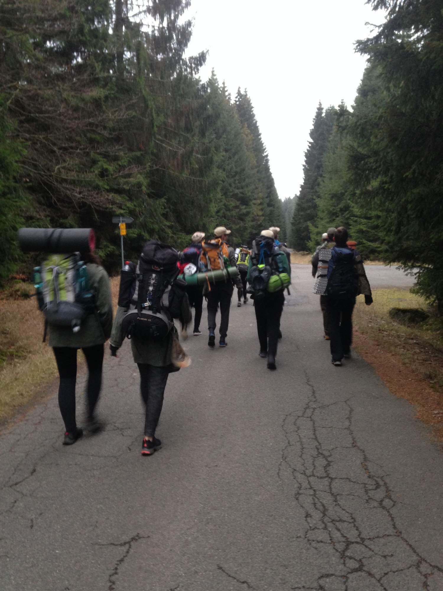 2018 11 02 04 Thz Slavkovsky Les