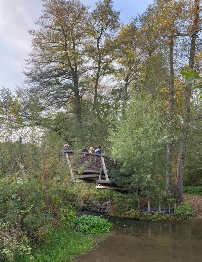 BA514046 1E37 40BC 9A45 999BA974ED17