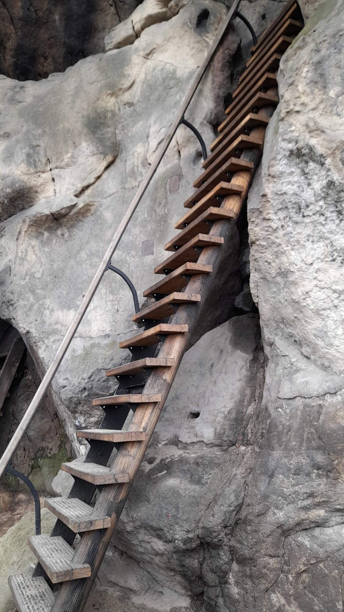 IMG 20230325 091156 HDR 2