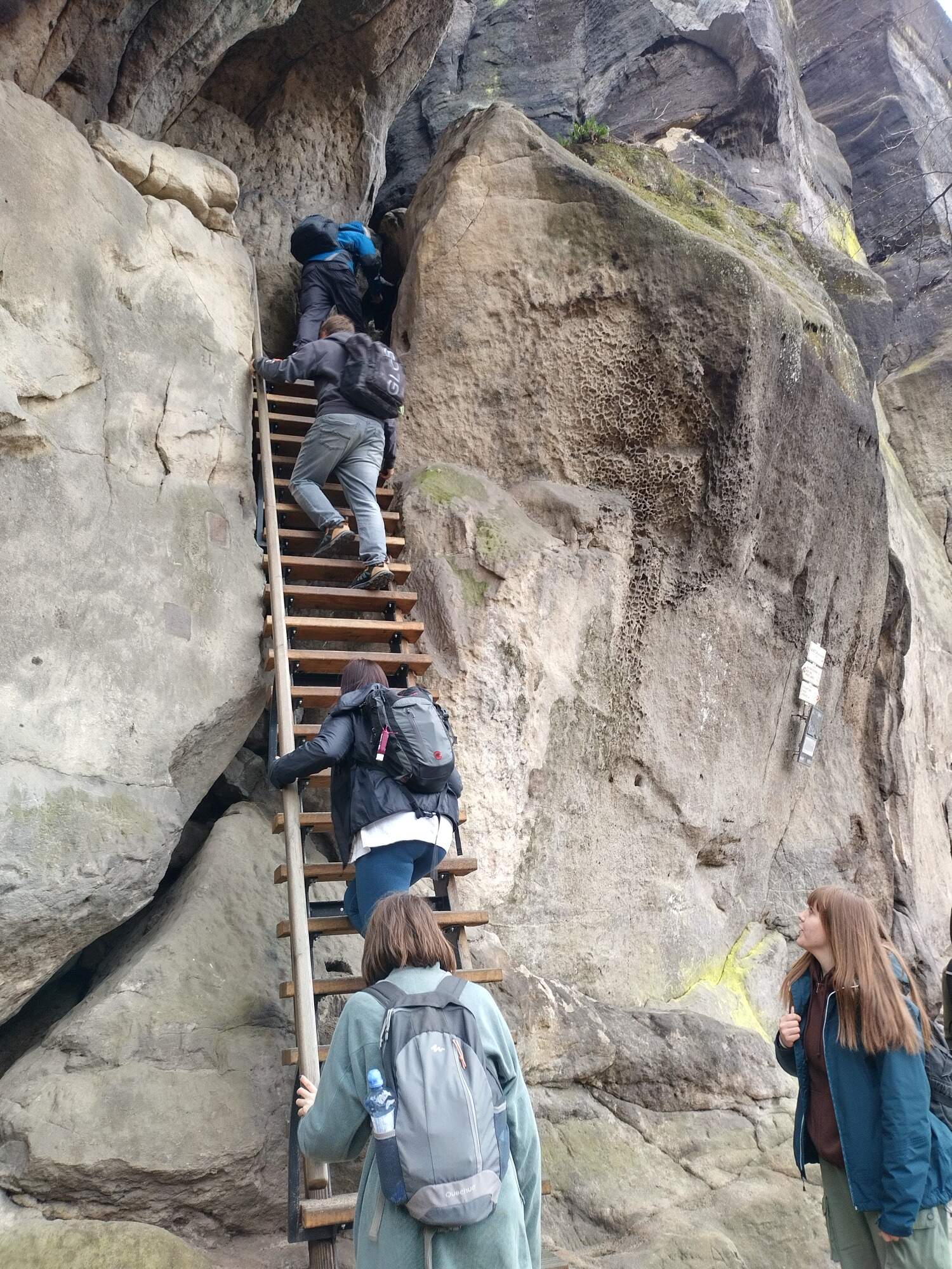 IMG 20230325 091251 HDR