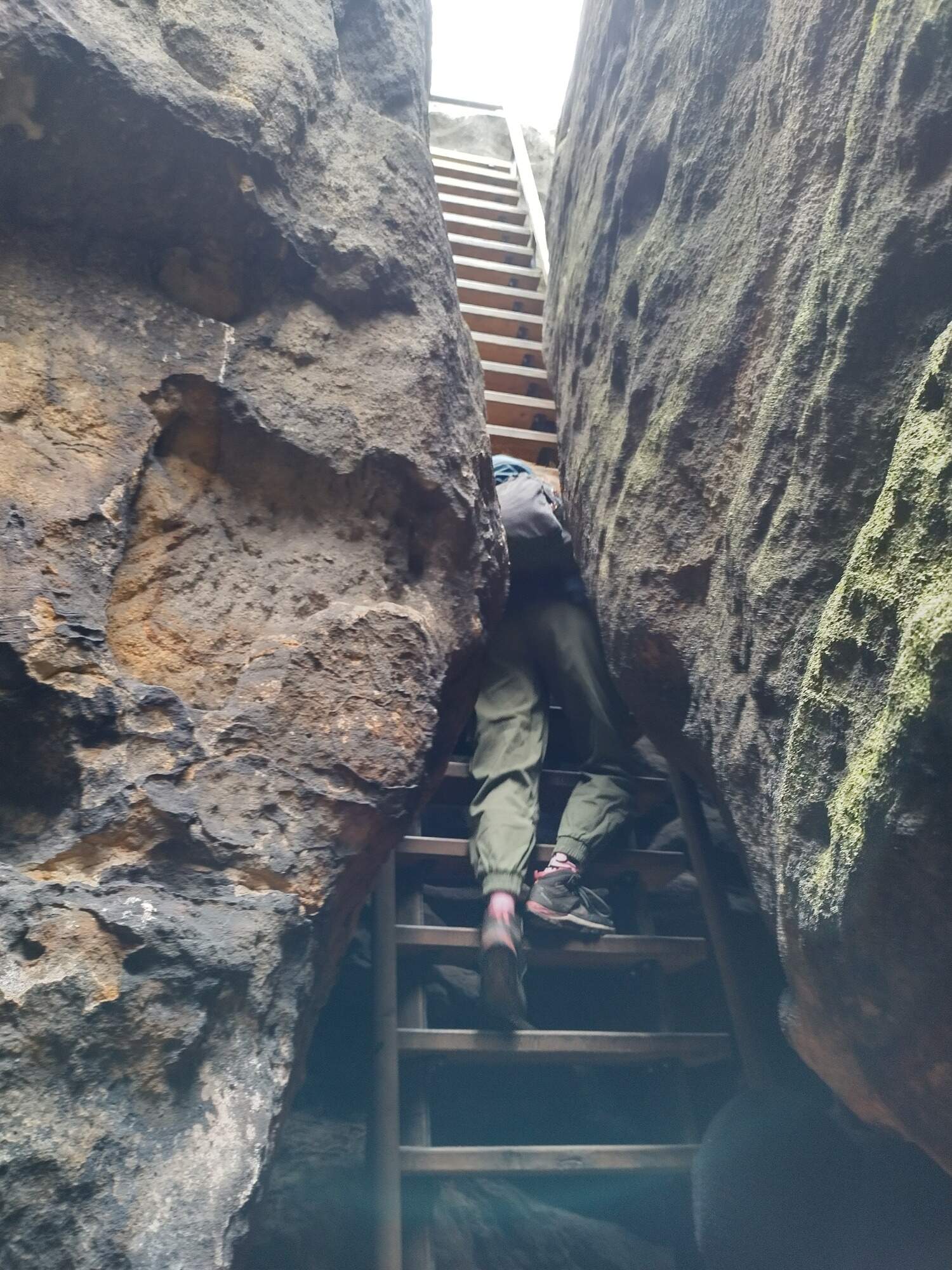 IMG 20230325 091518 HDR