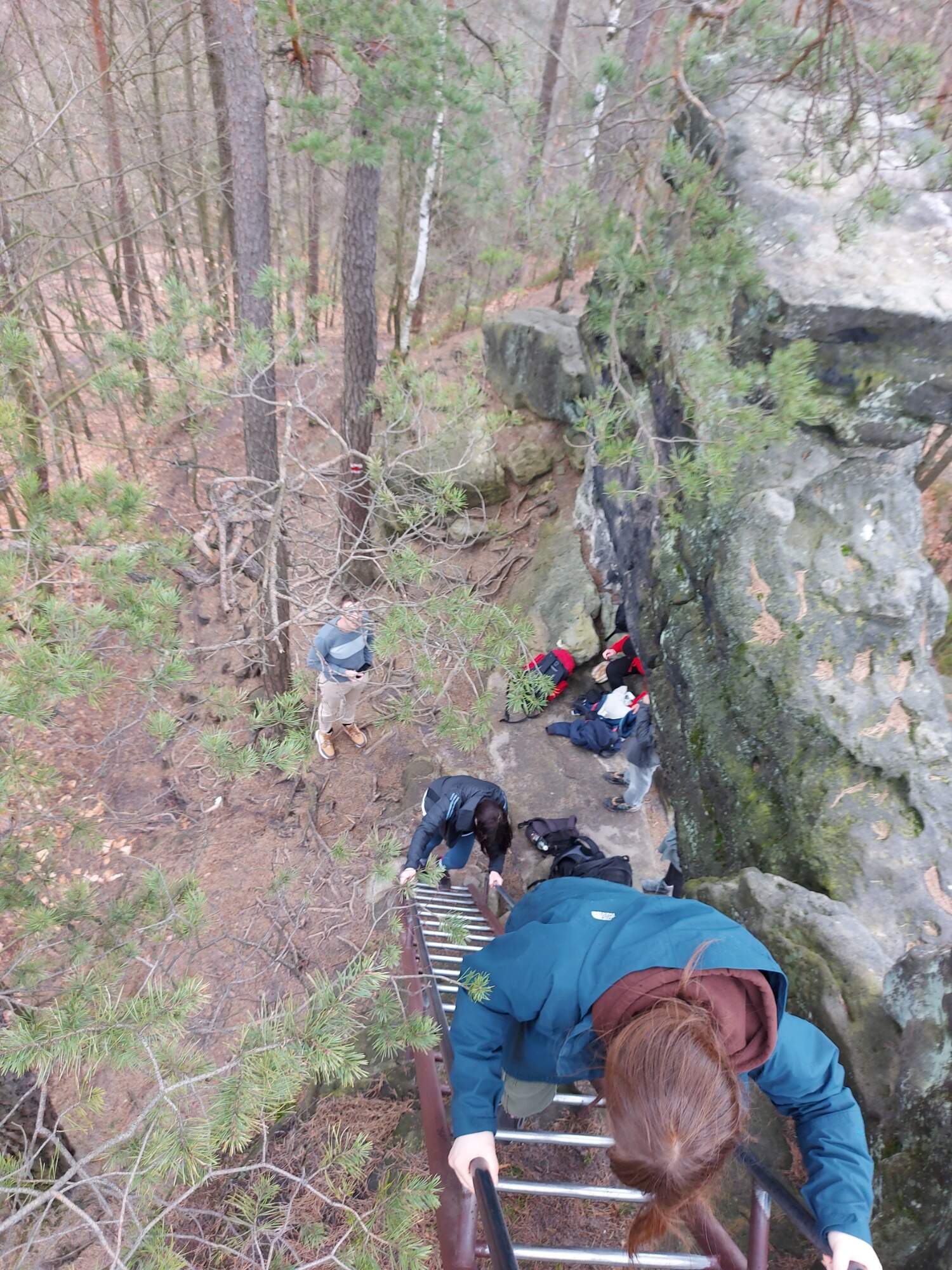 IMG 20230325 092730 HDR 2