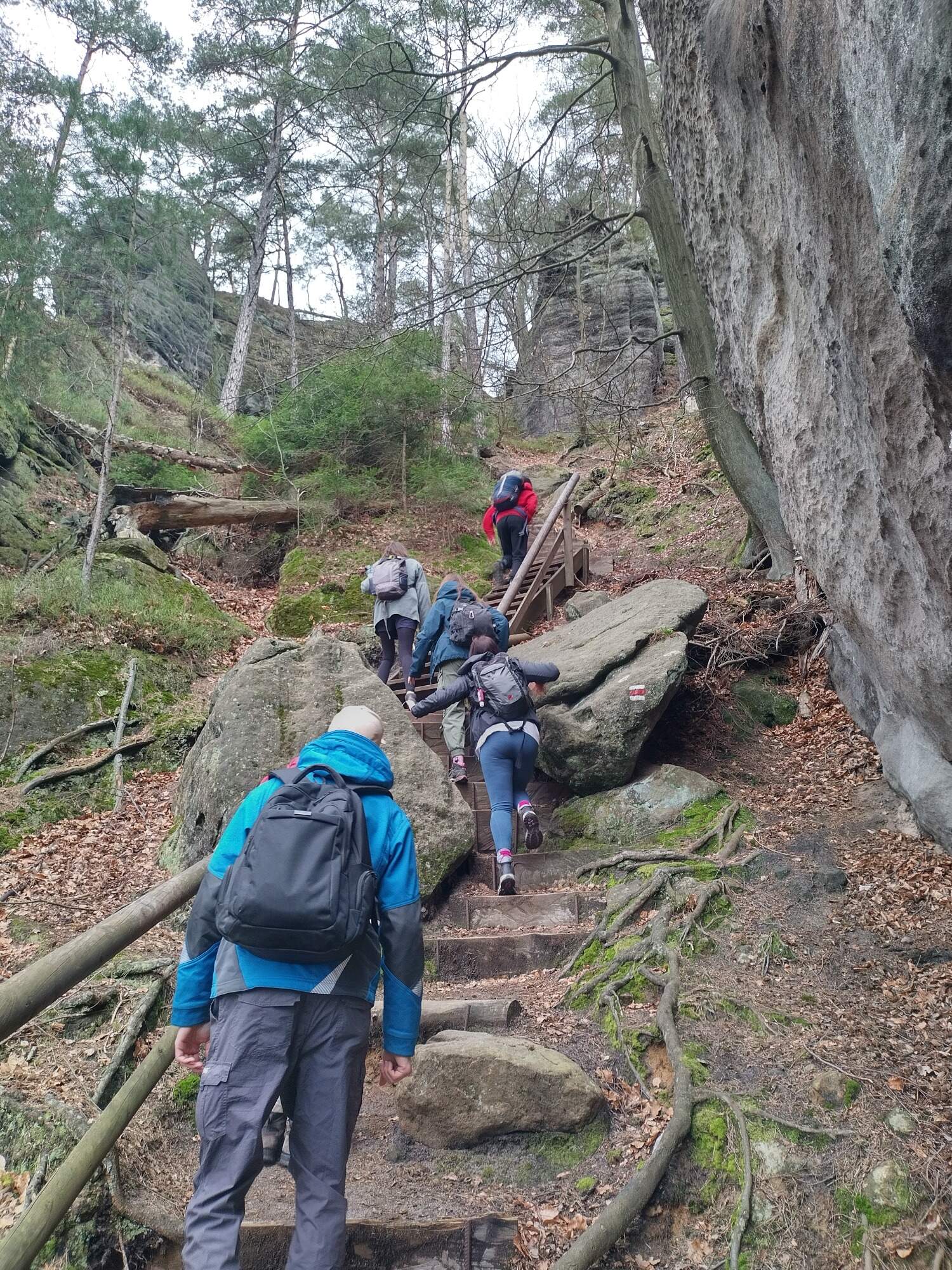 IMG 20230325 093233 HDR