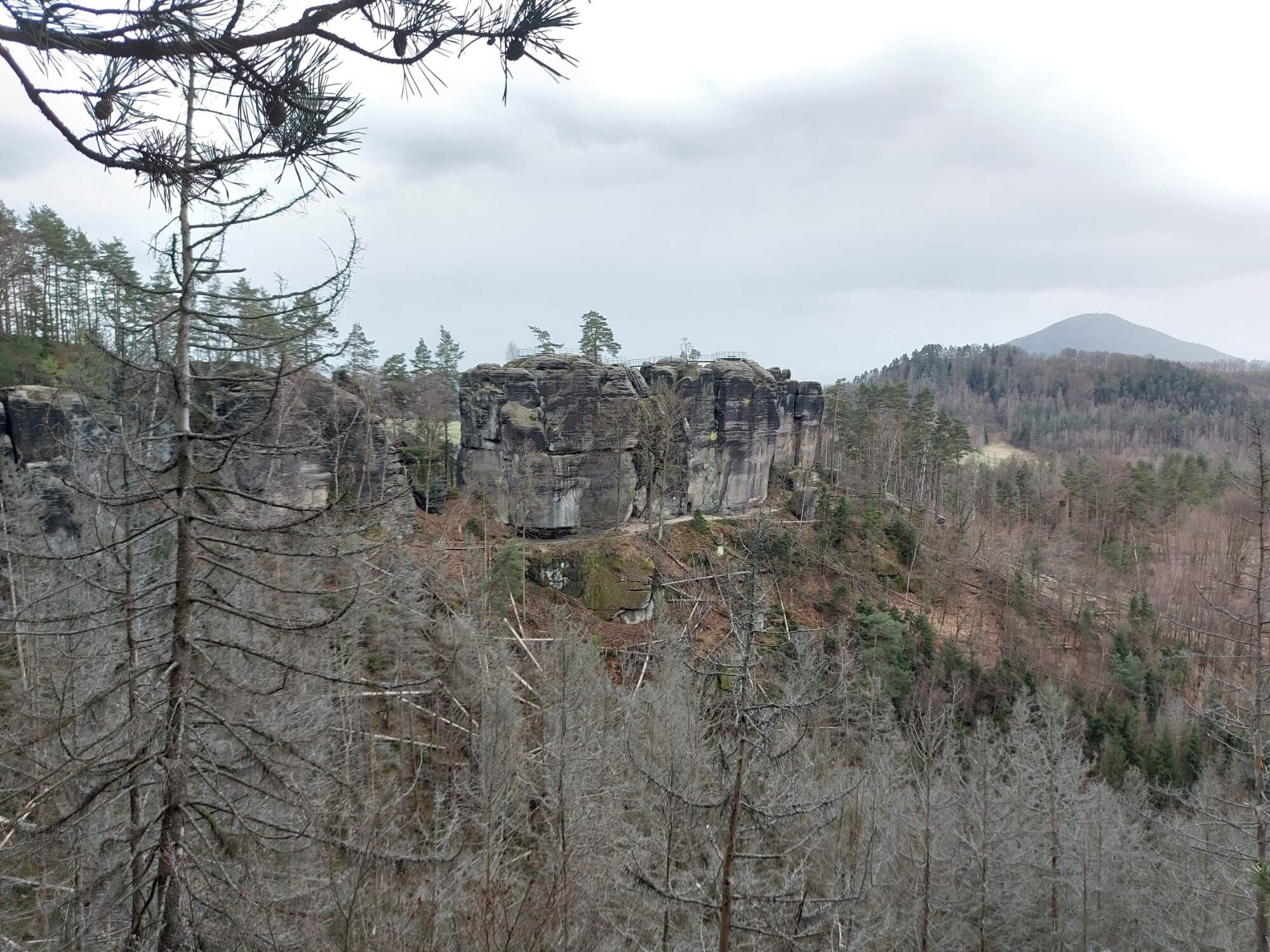 IMG 20230325 093605 HDR 2