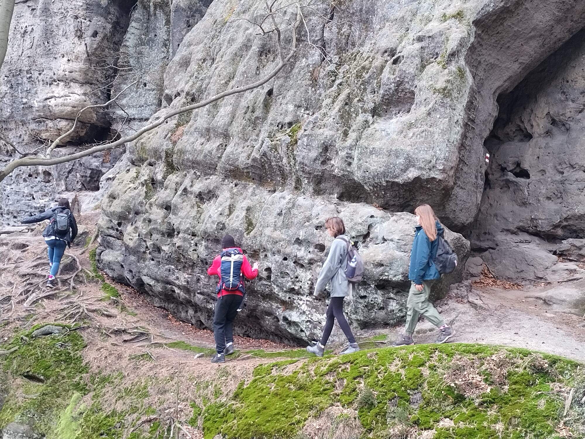 IMG 20230325 093605 HDR