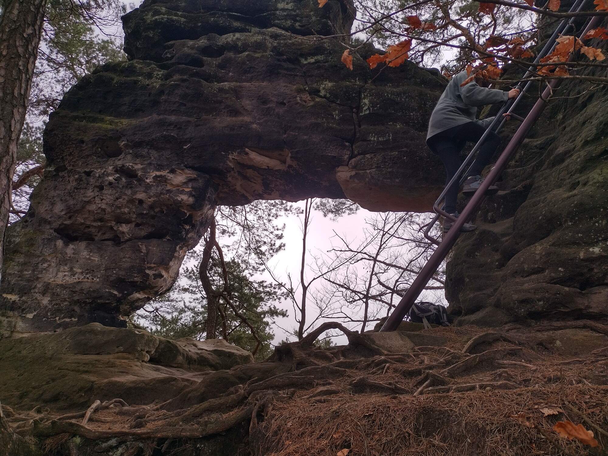 IMG 20230325 094328 HDR