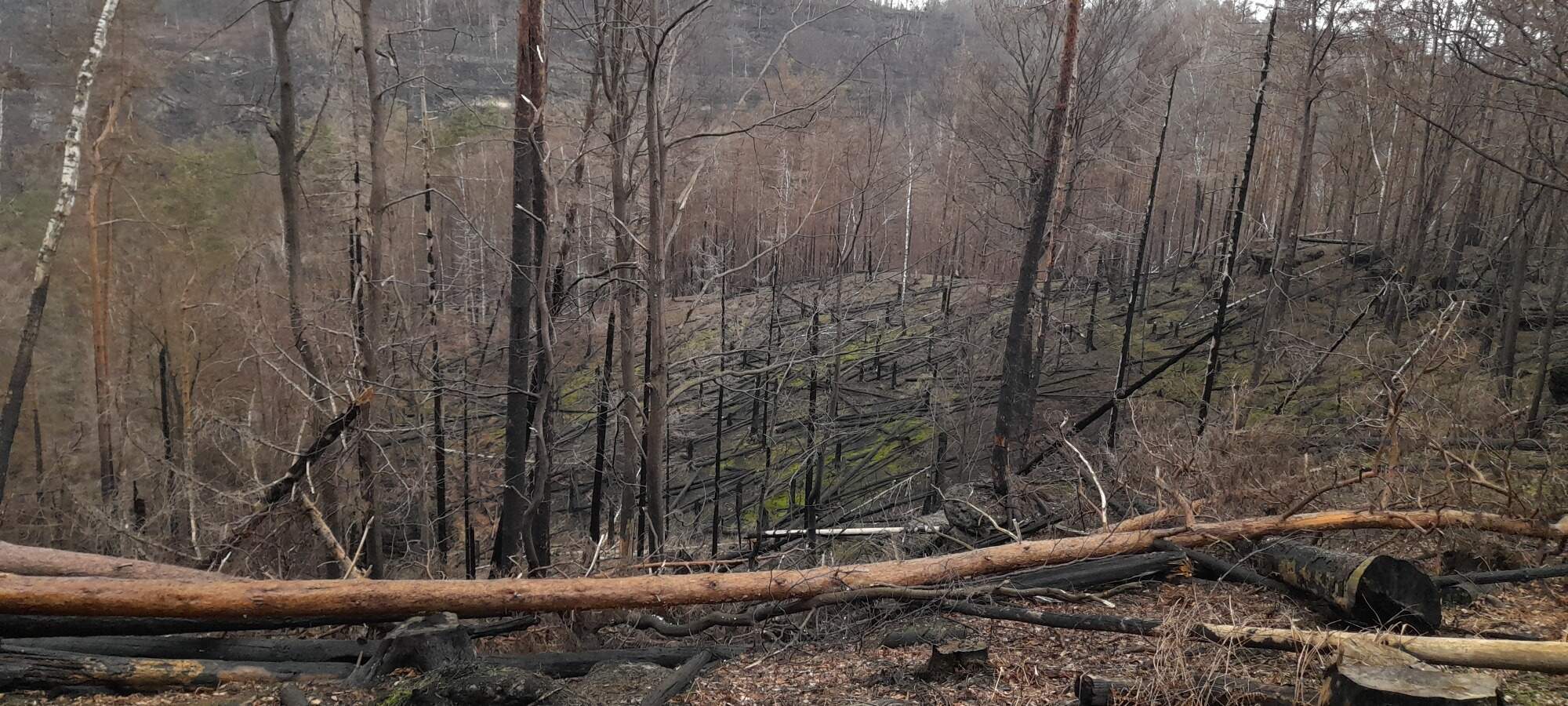 IMG 20230325 101132 HDR 2