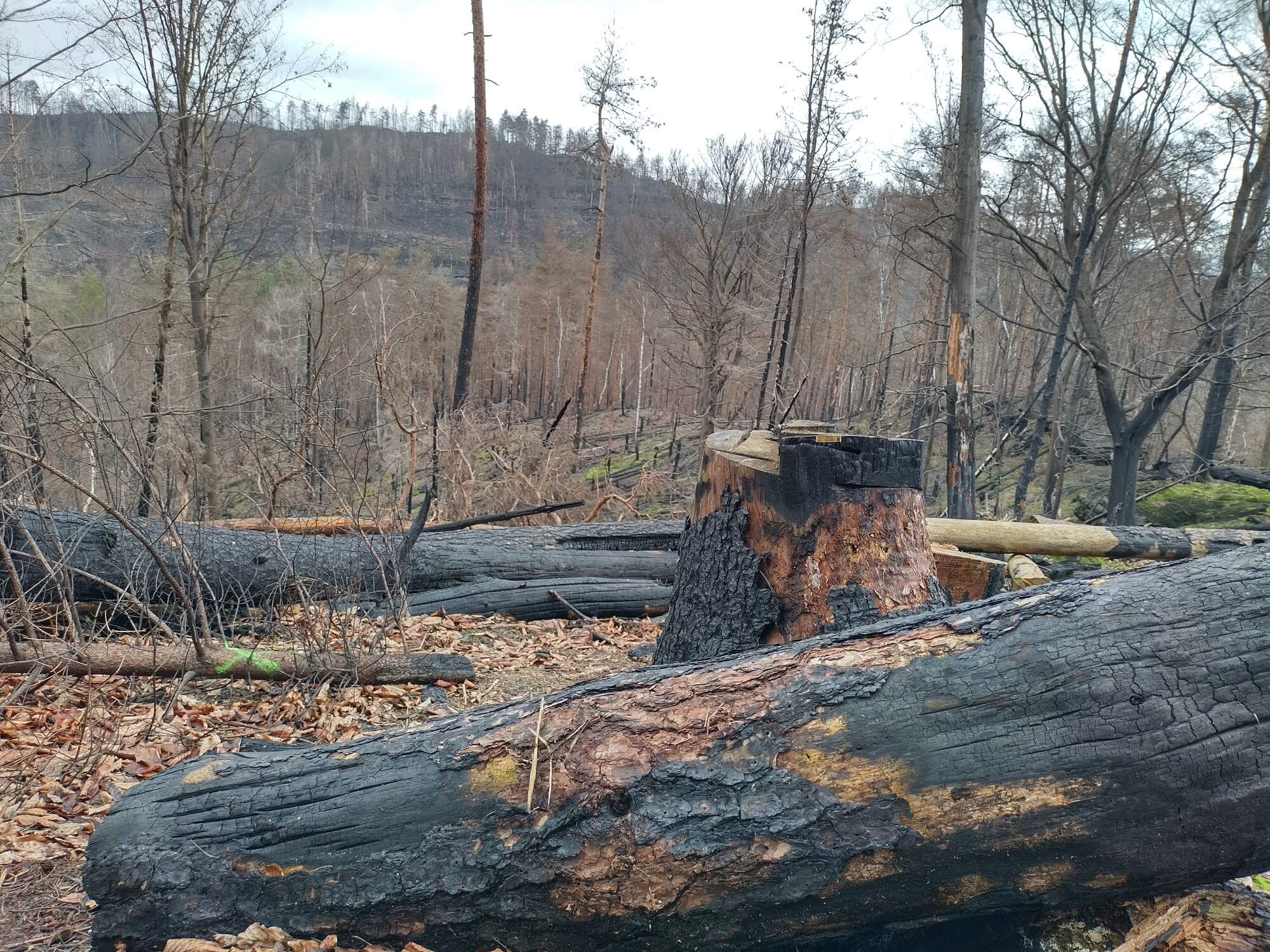 IMG 20230325 101132 HDR