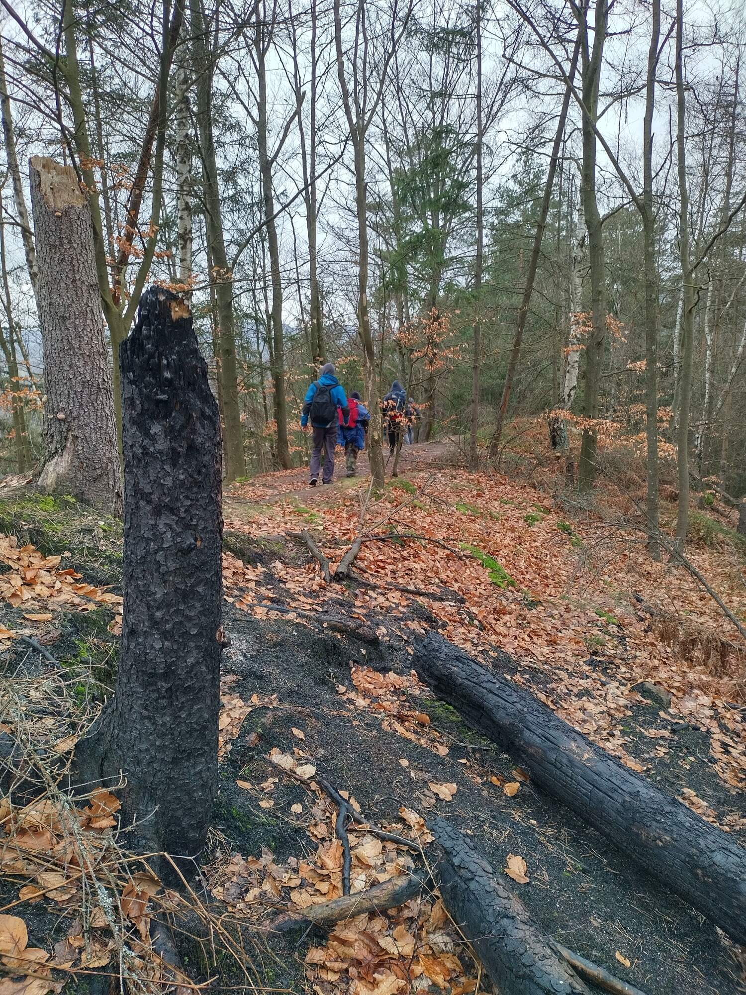 IMG 20230325 102714 HDR