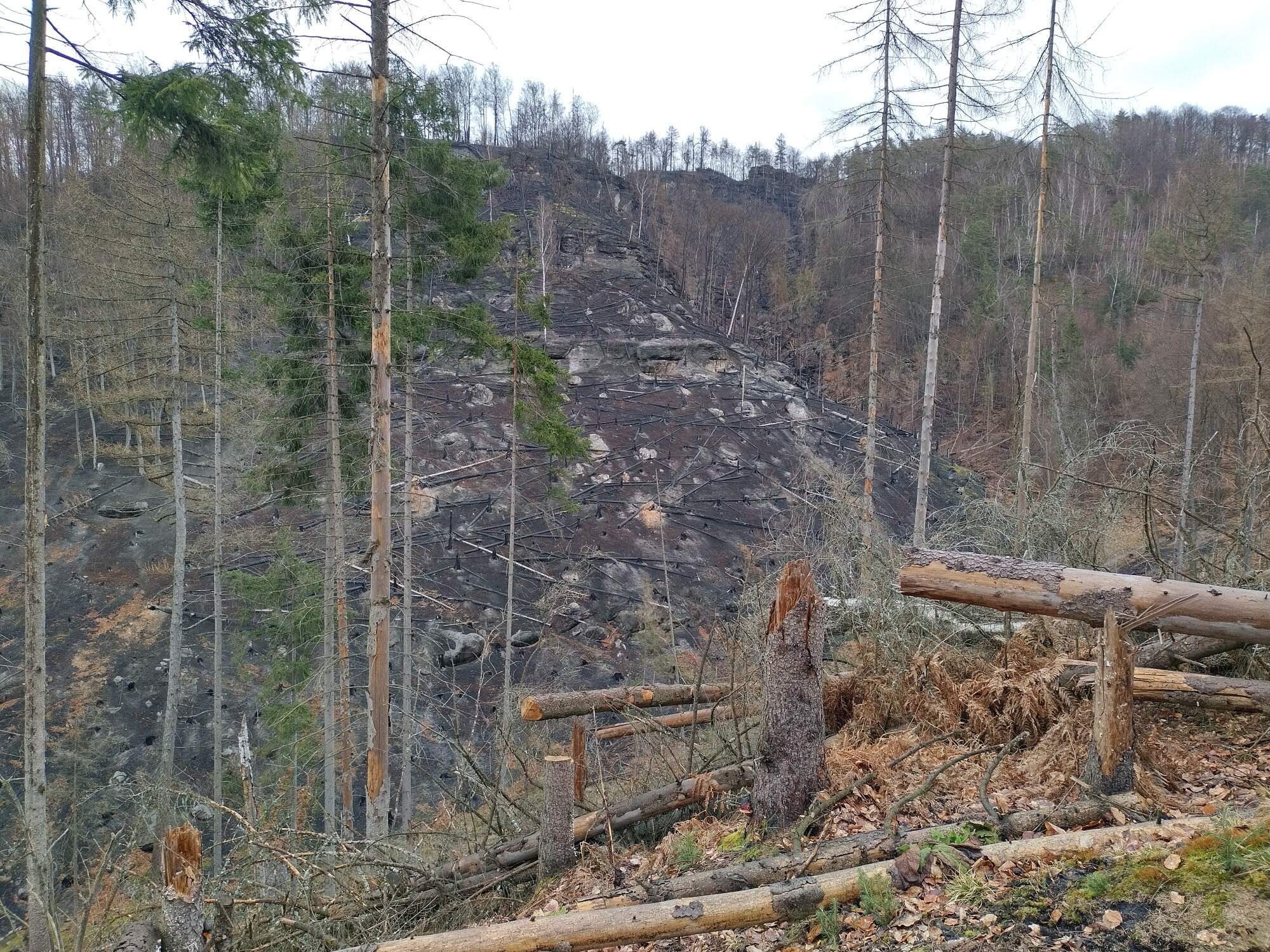 IMG 20230325 103603 HDR