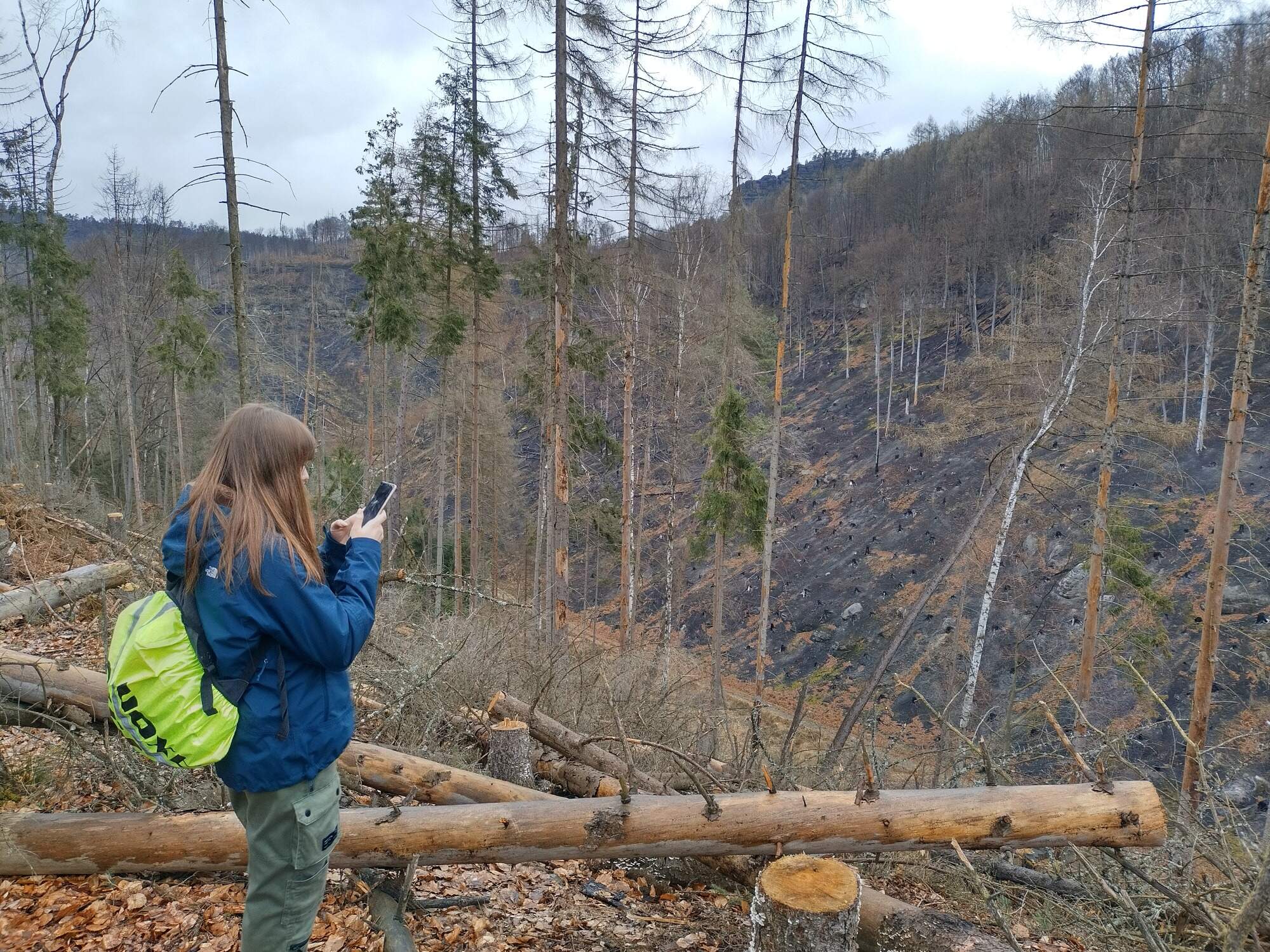 IMG 20230325 103611 HDR