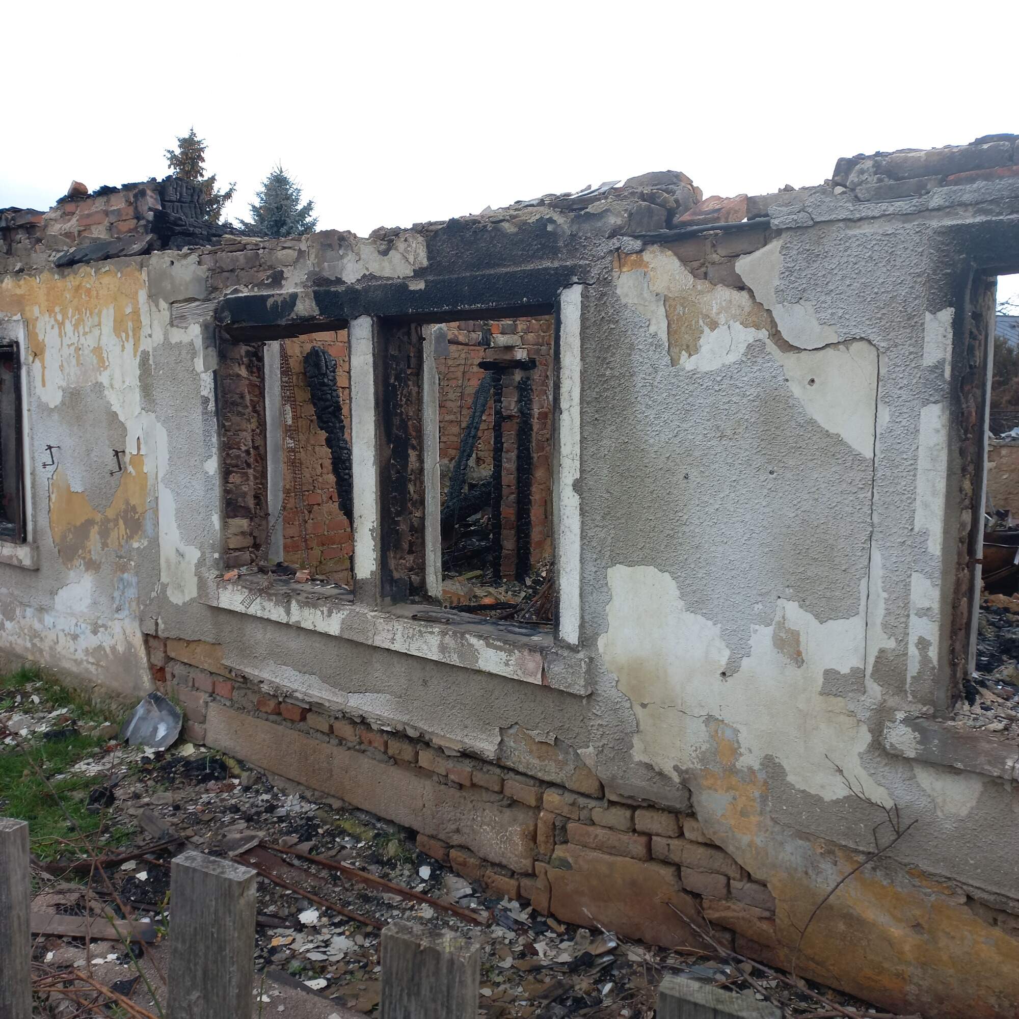 IMG 20230325 113104 HDR 2