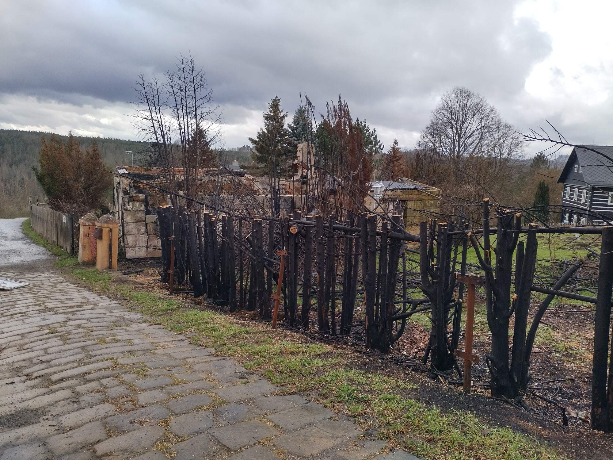 IMG 20230325 113207 HDR