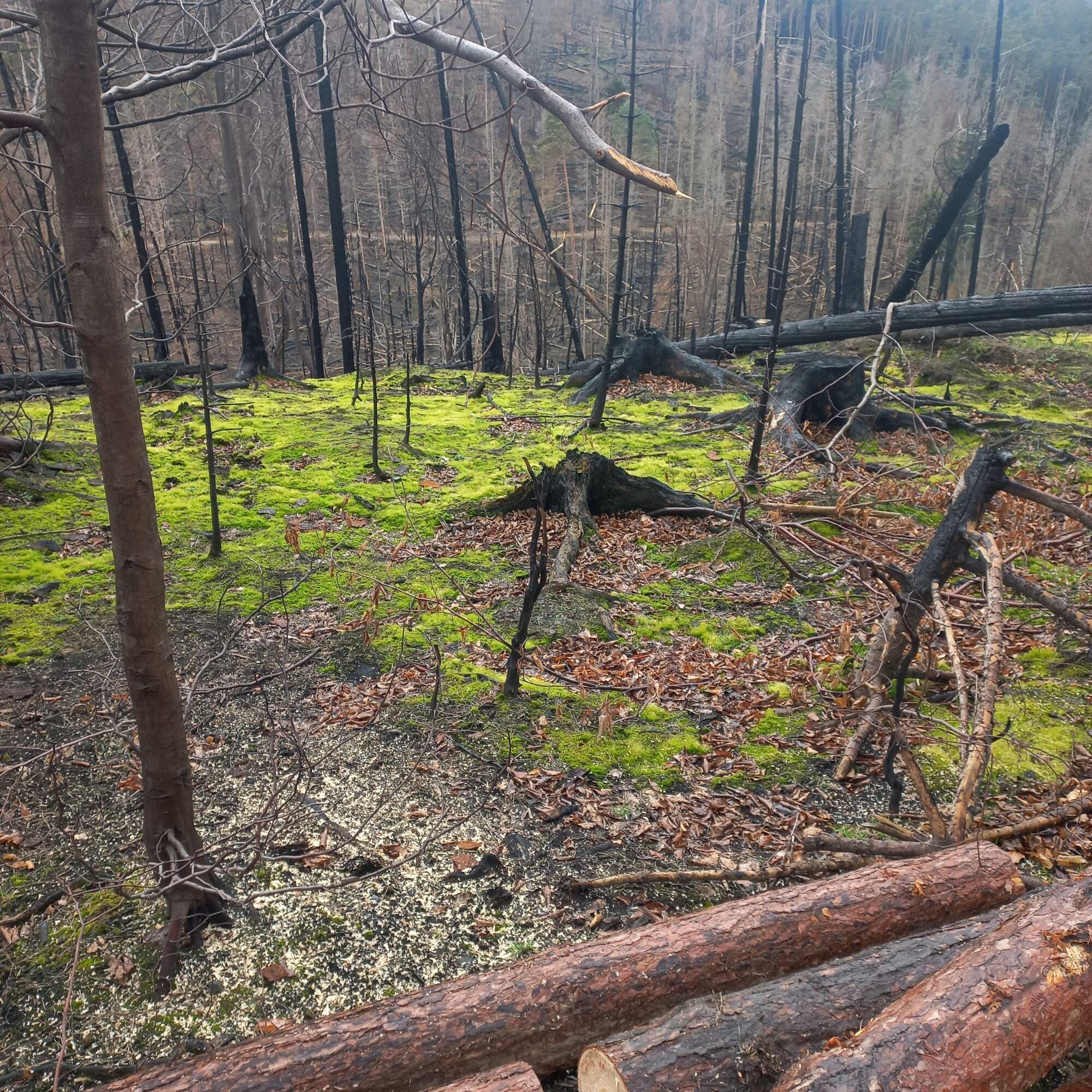 IMG 20230325 114718 HDR 2