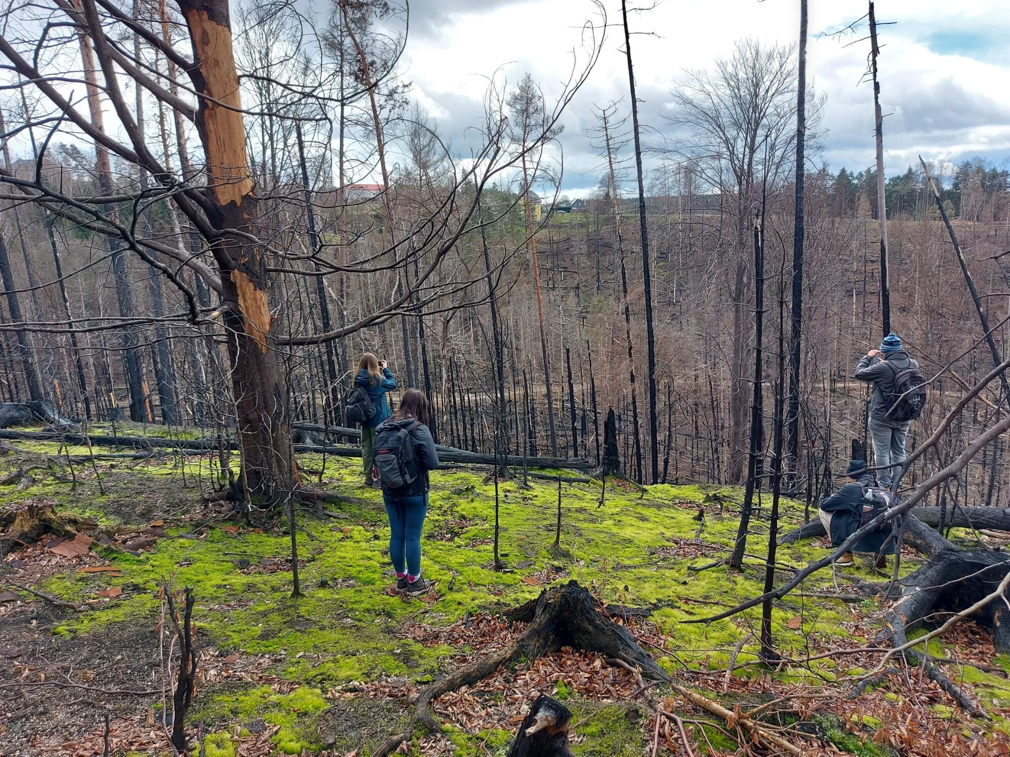 IMG 20230325 114718 HDR 3