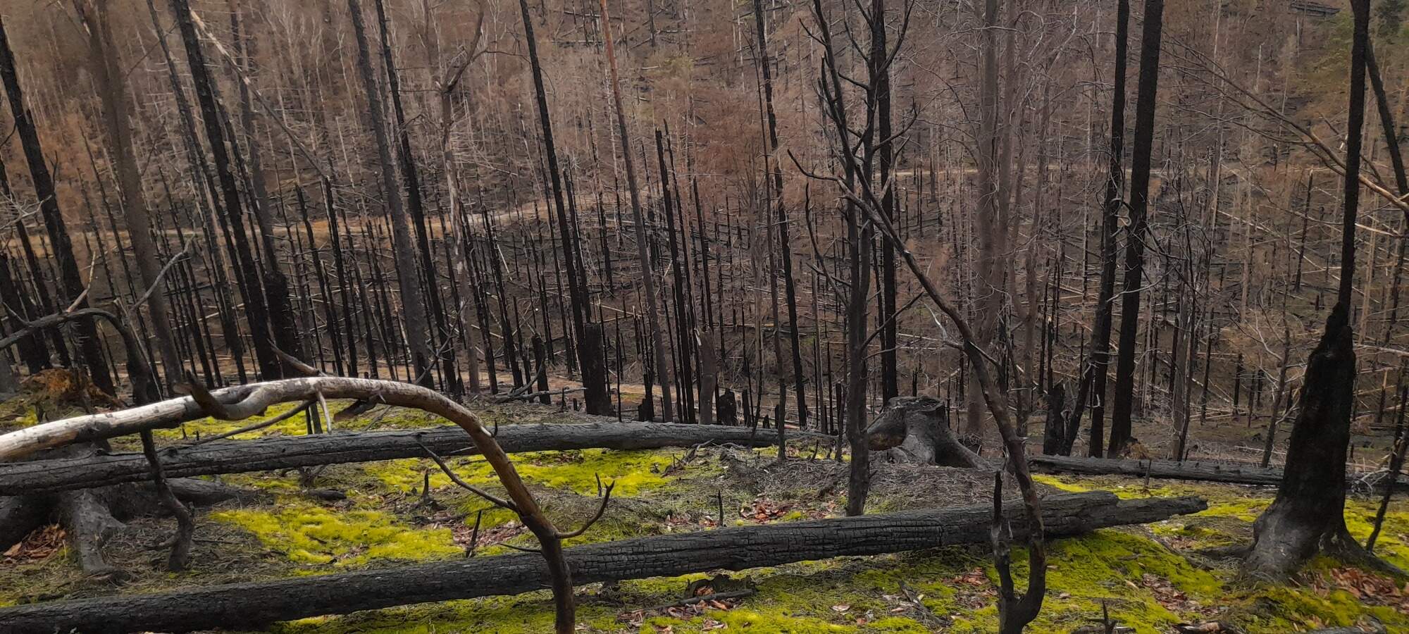 IMG 20230325 114718 HDR 5