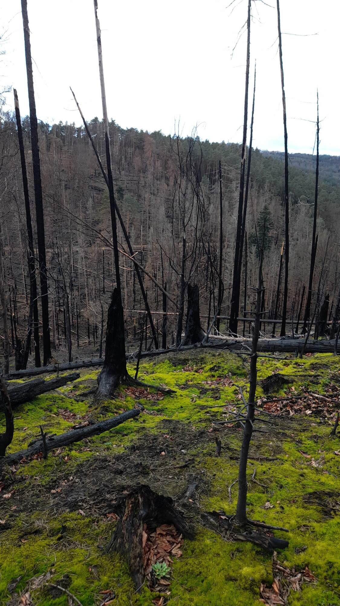 IMG 20230325 114718 HDR 6