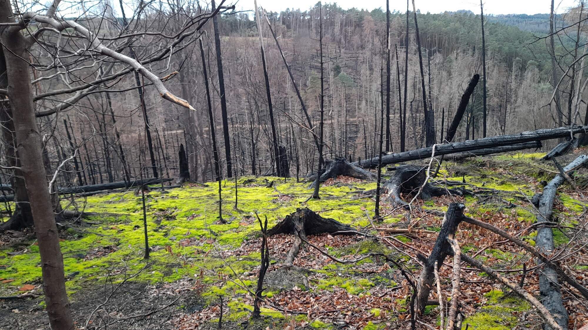 IMG 20230325 114718 HDR 7