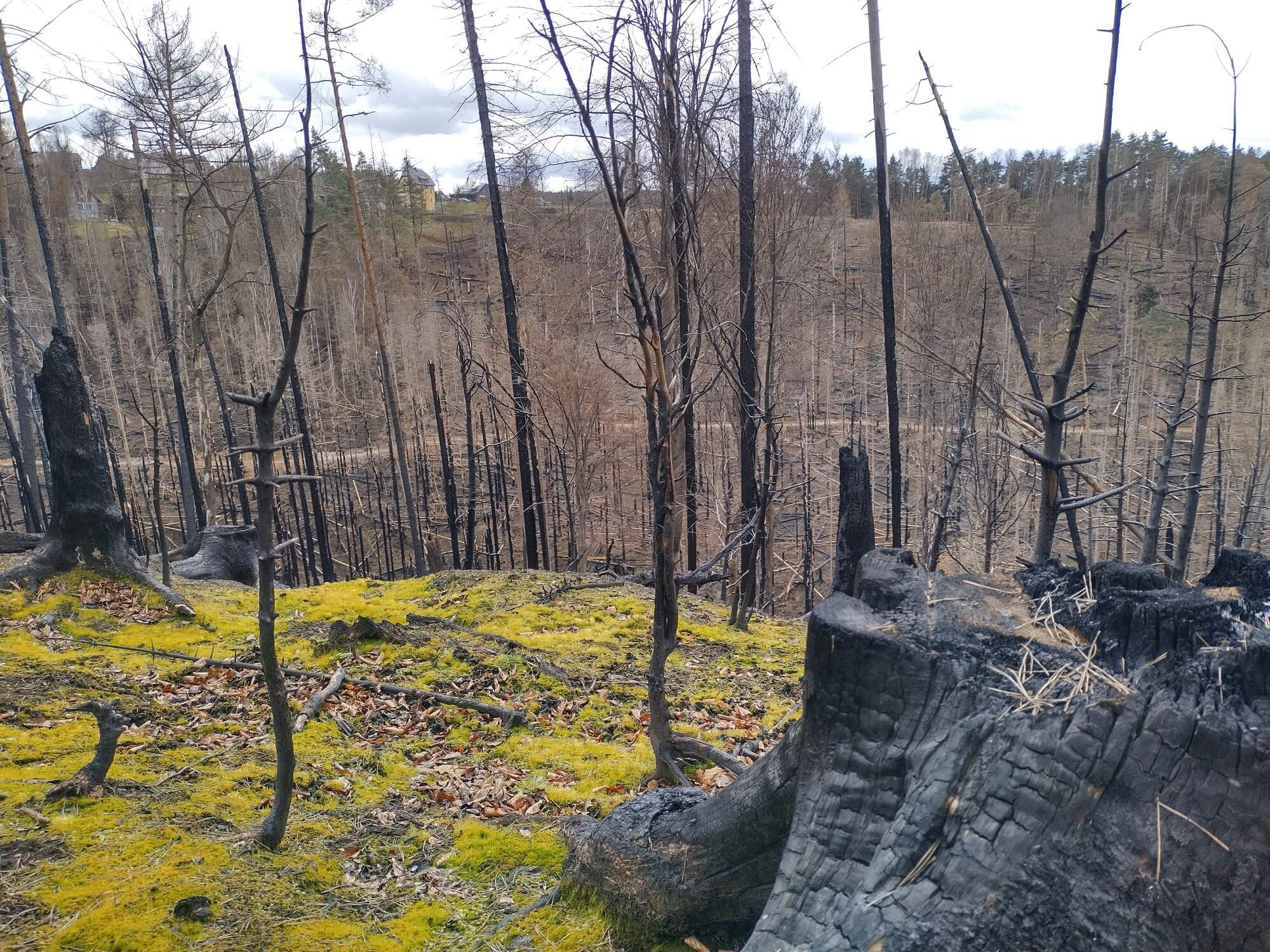 IMG 20230325 114718 HDR