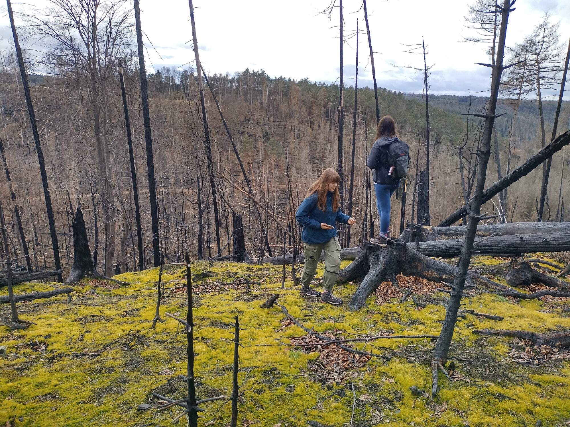 IMG 20230325 115008 HDR