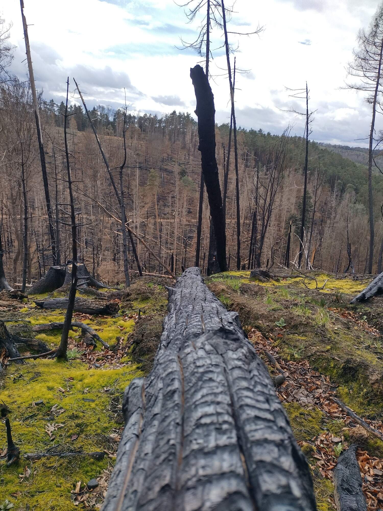 IMG 20230325 115117 HDR