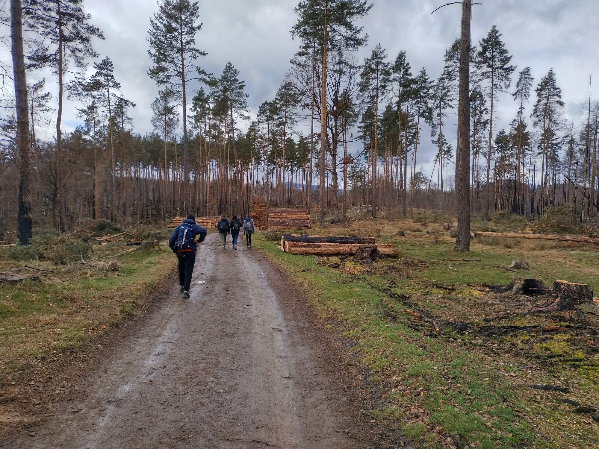 IMG 20230325 115644 HDR