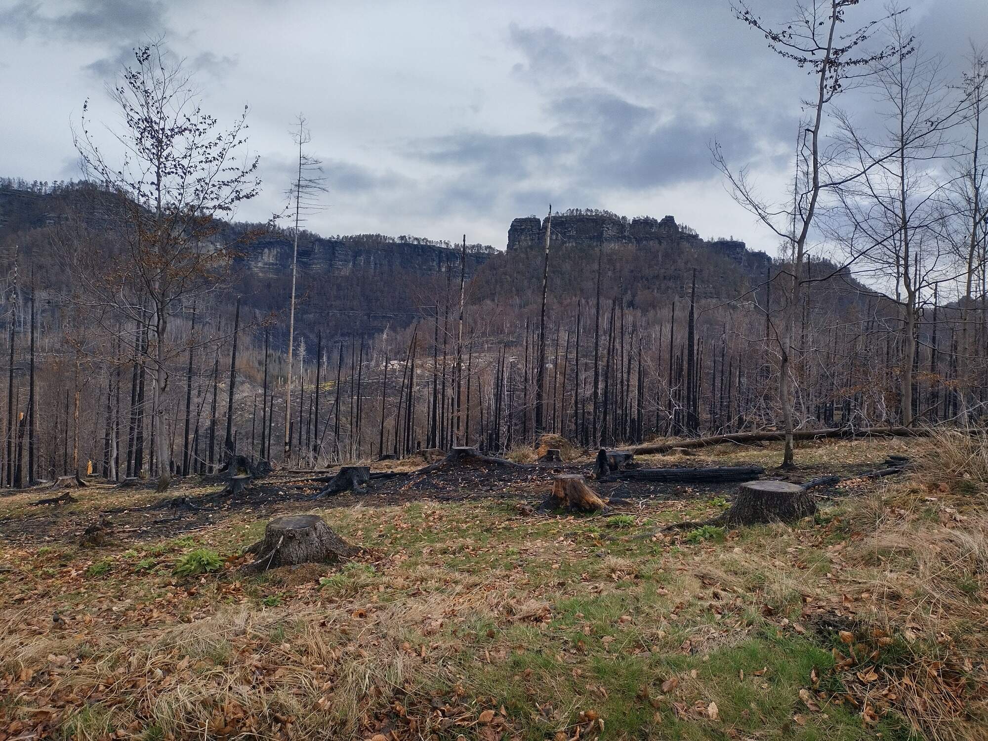 IMG 20230325 120320 HDR