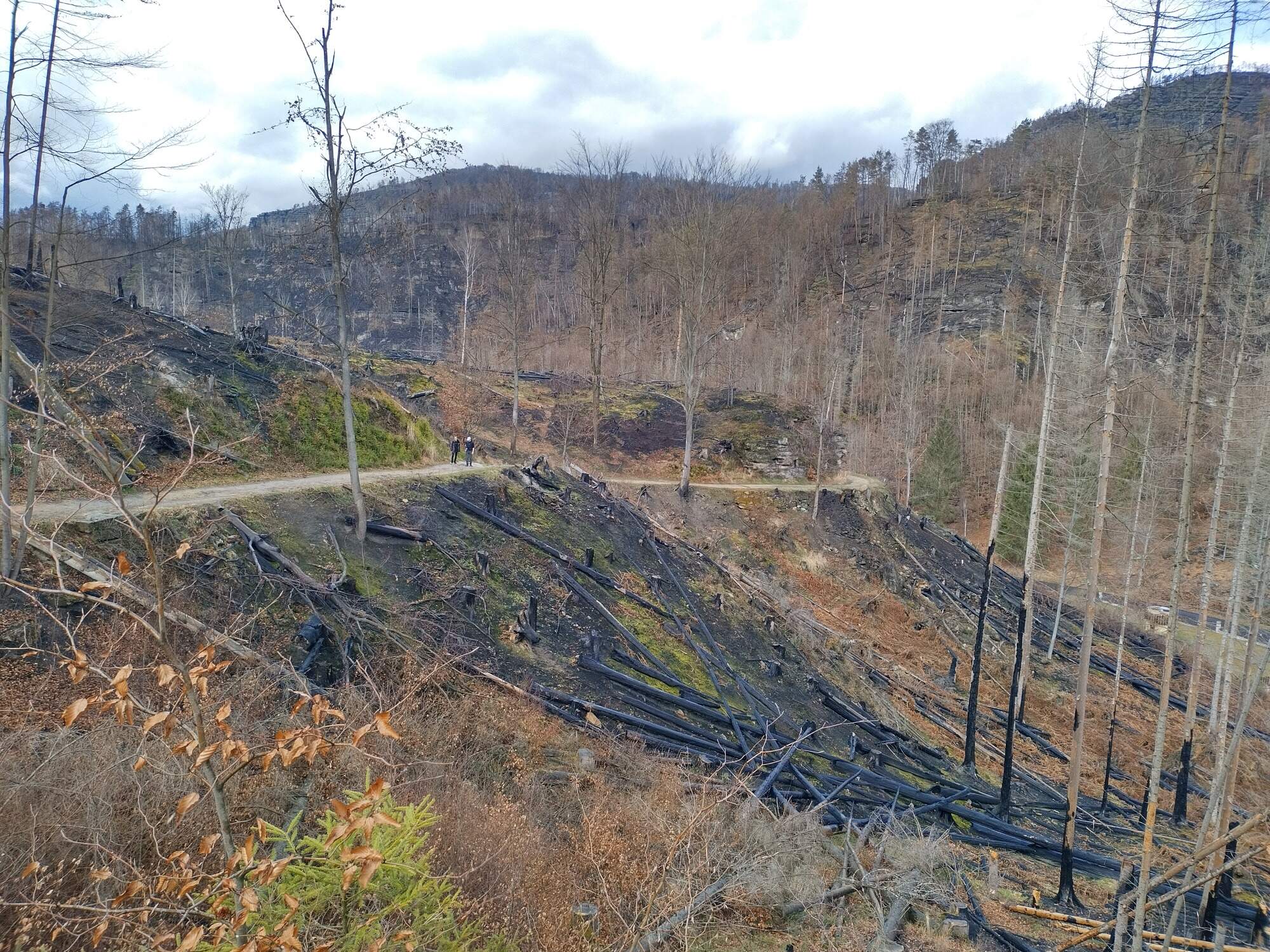 IMG 20230325 121741 HDR