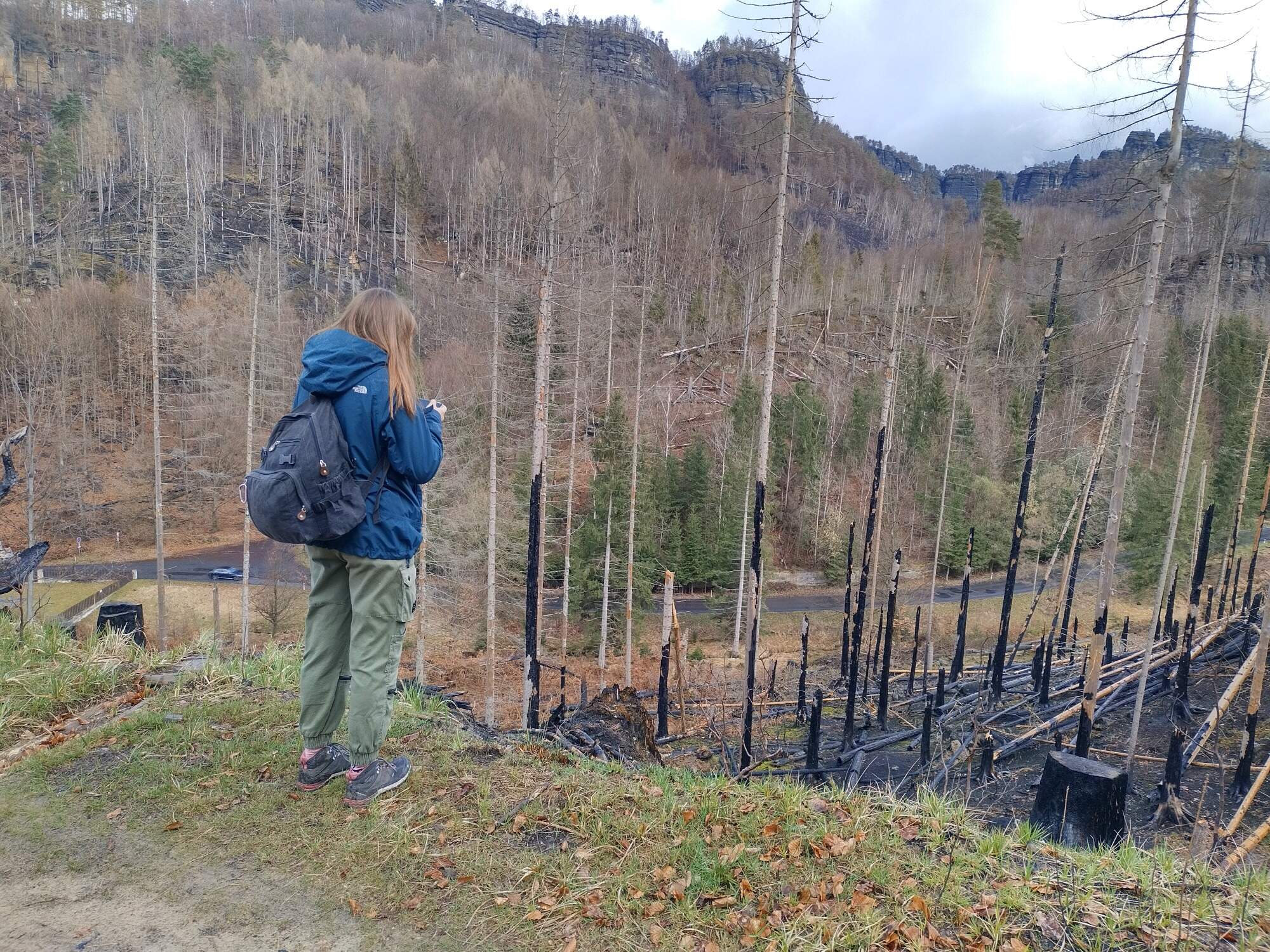 IMG 20230325 121836 HDR