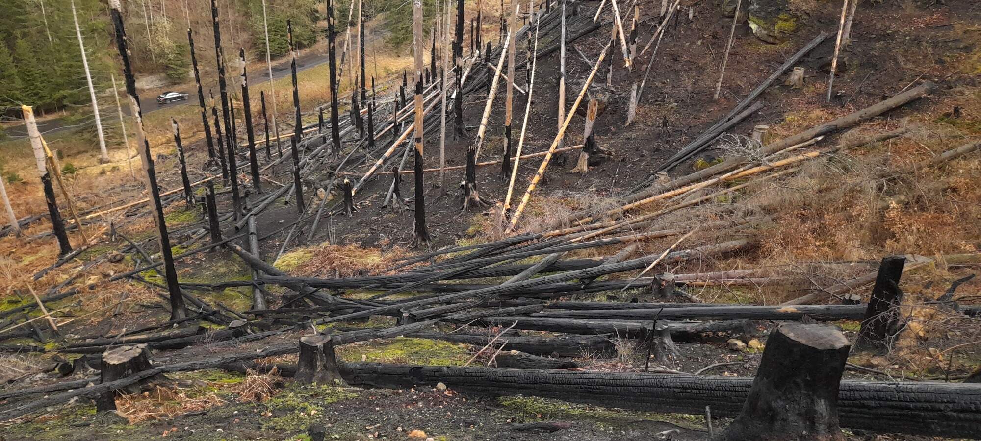 IMG 20230325 121921 HDR 2