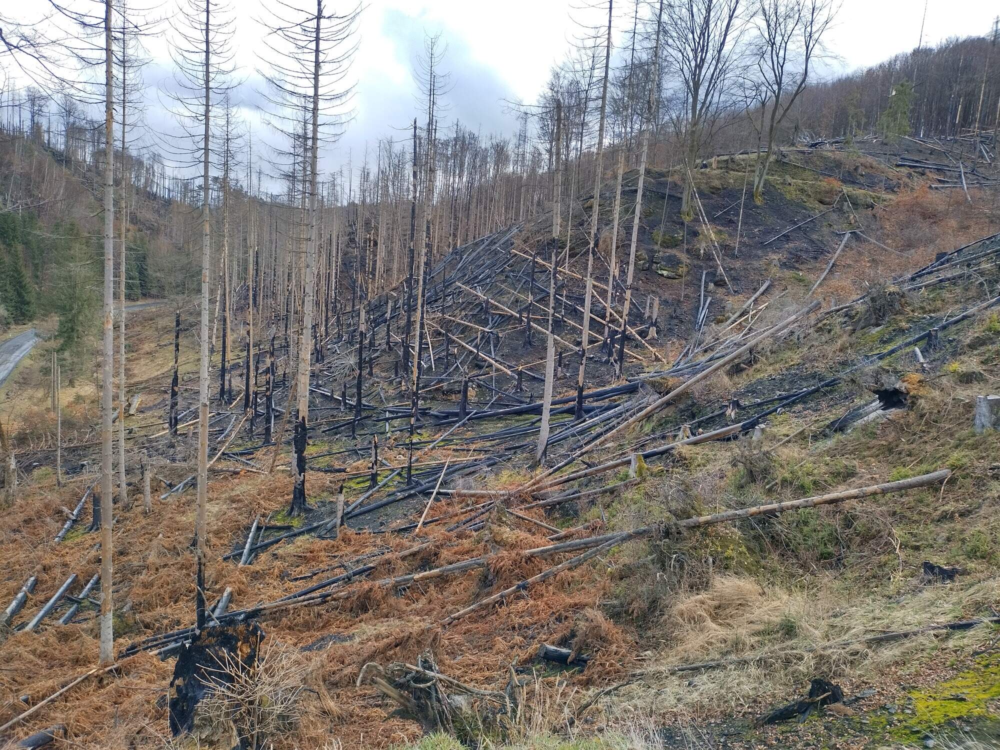 IMG 20230325 121921 HDR