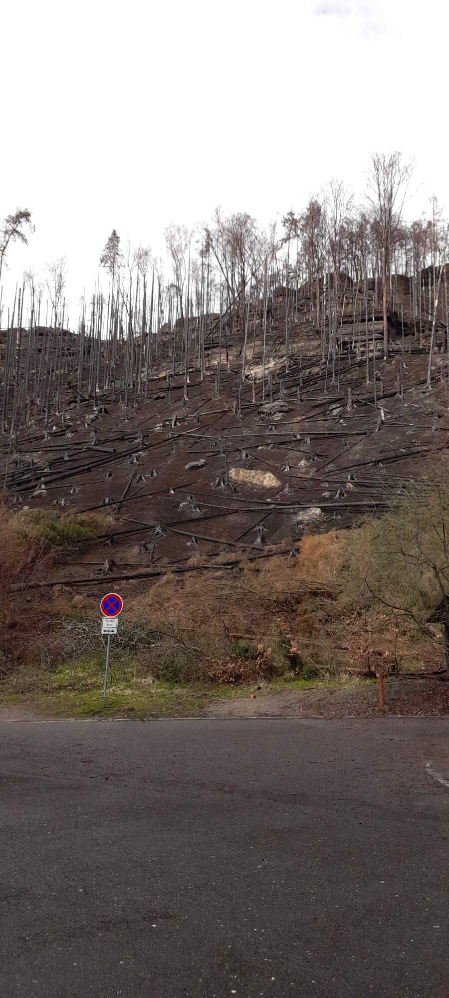 IMG 20230325 122039 HDR 2