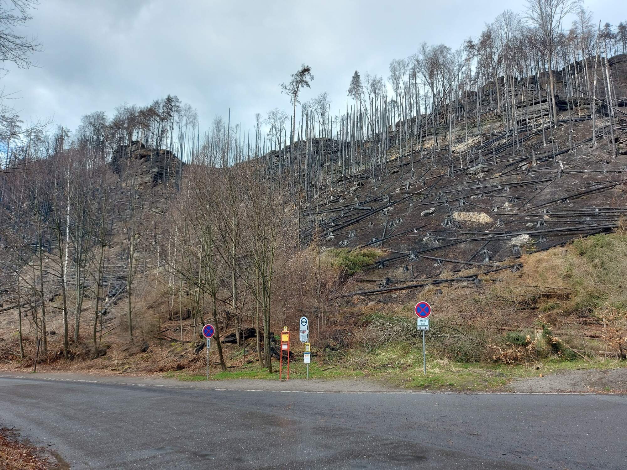 IMG 20230325 122039 HDR 4