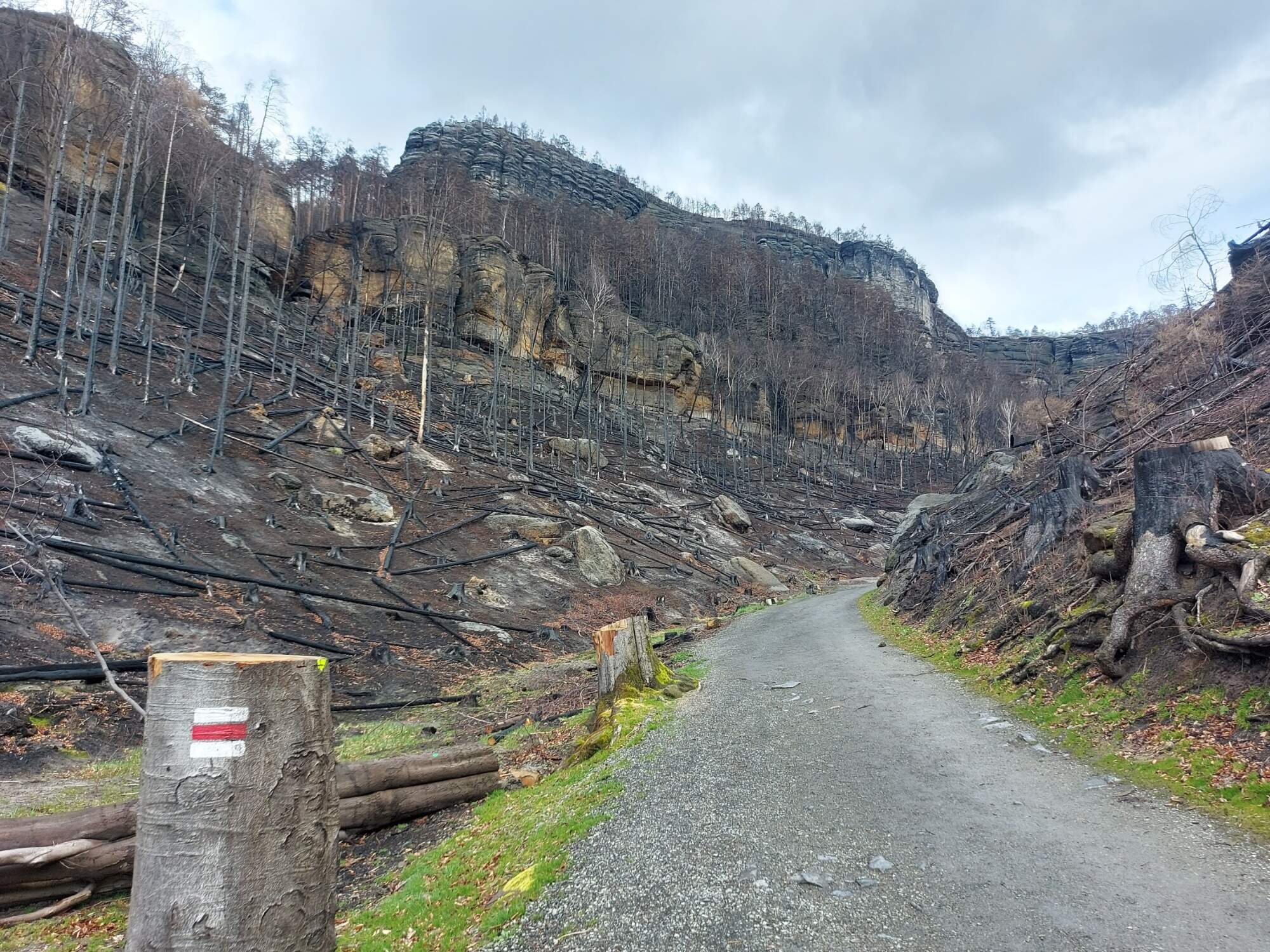 IMG 20230325 122039 HDR 5