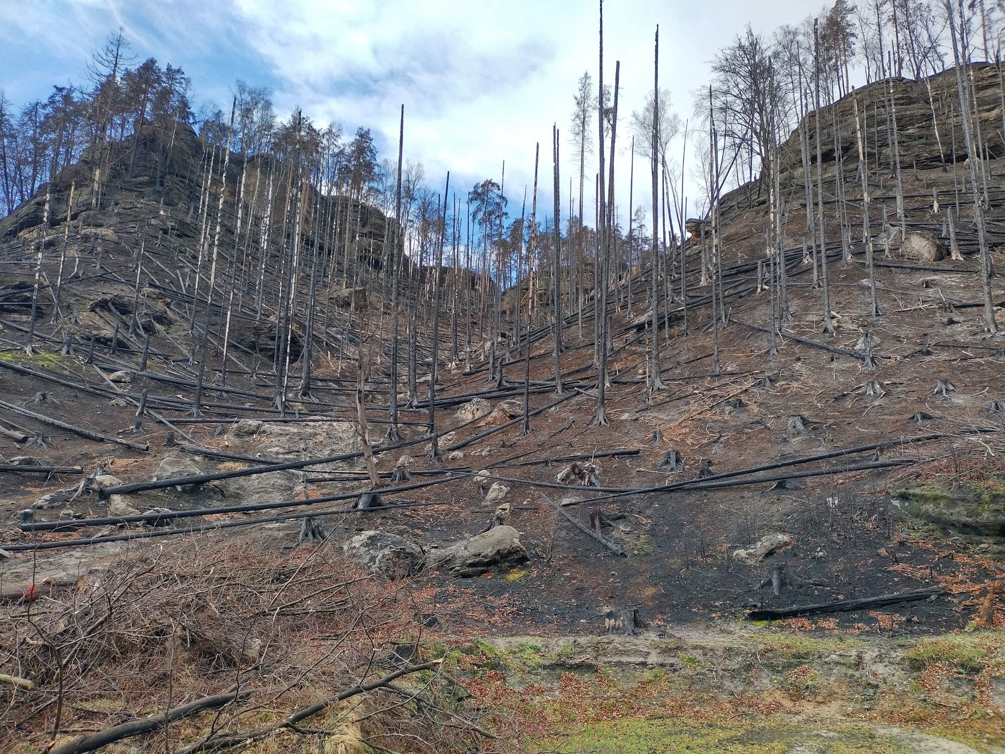 IMG 20230325 123401 HDR