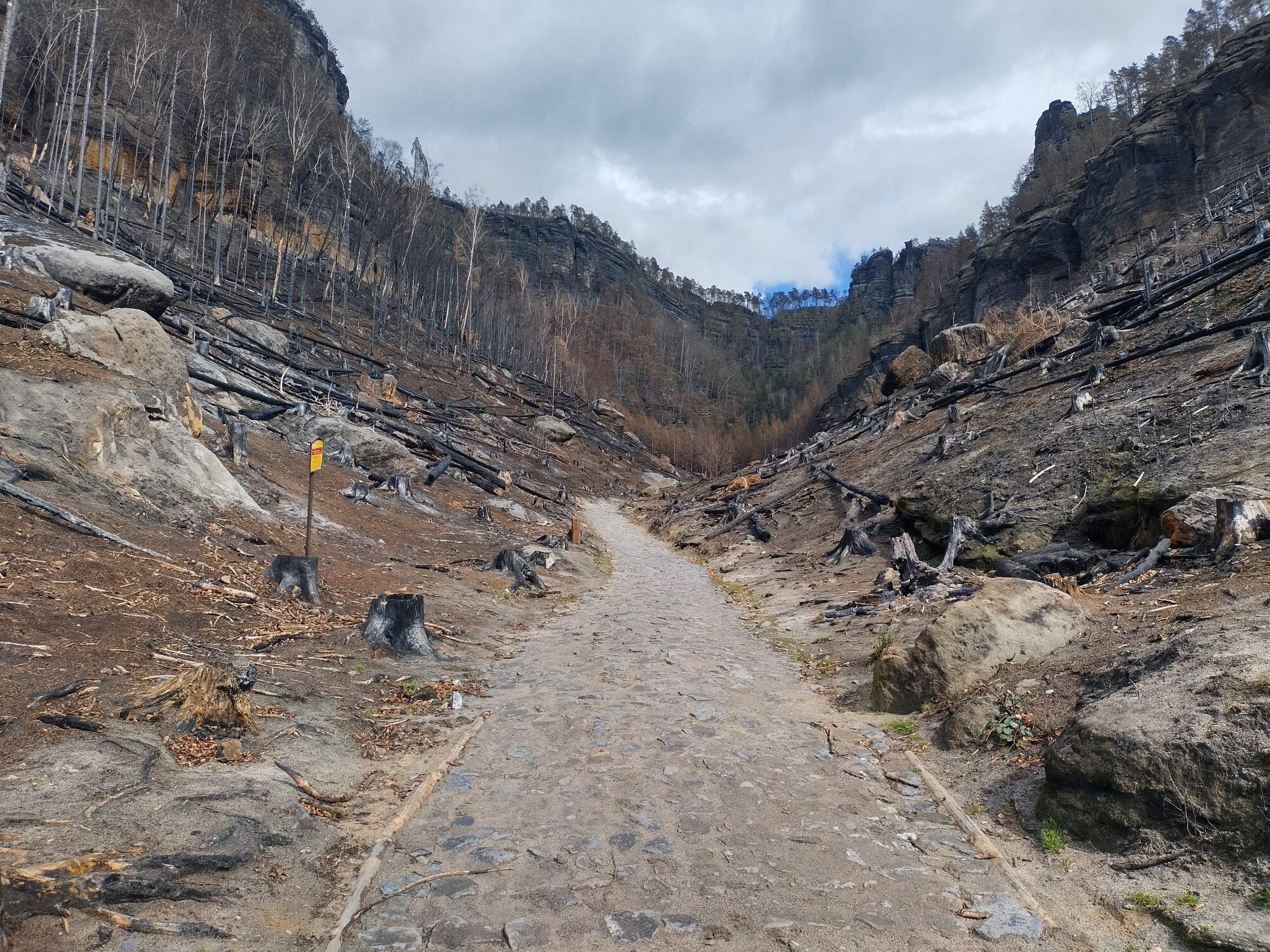 IMG 20230325 123555 HDR