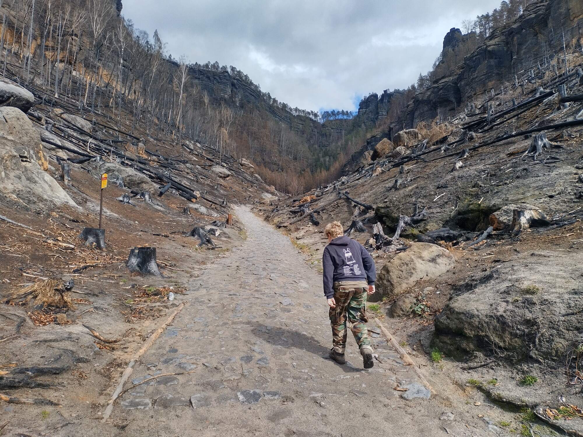 IMG 20230325 123601 HDR