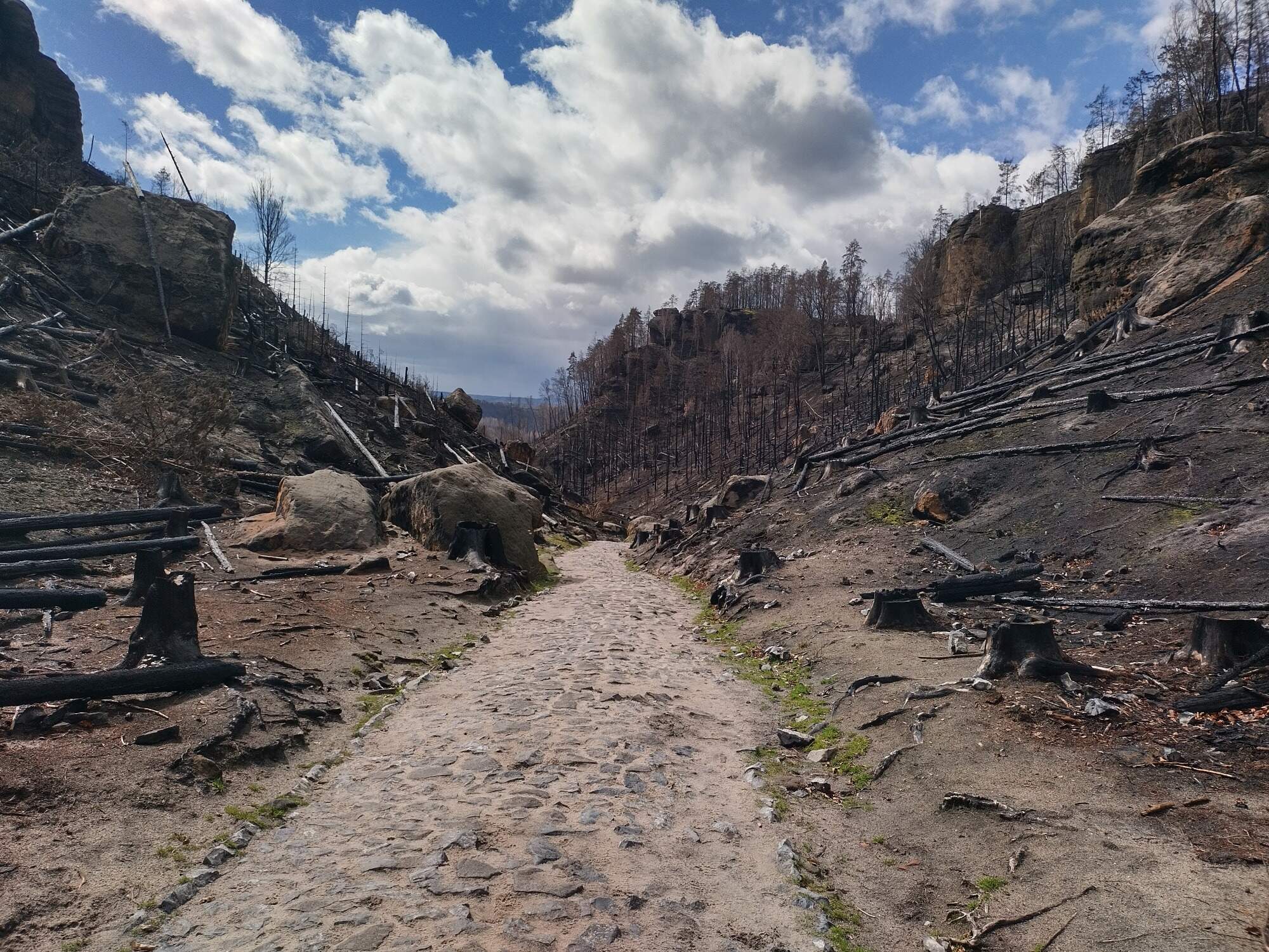 IMG 20230325 123909 HDR