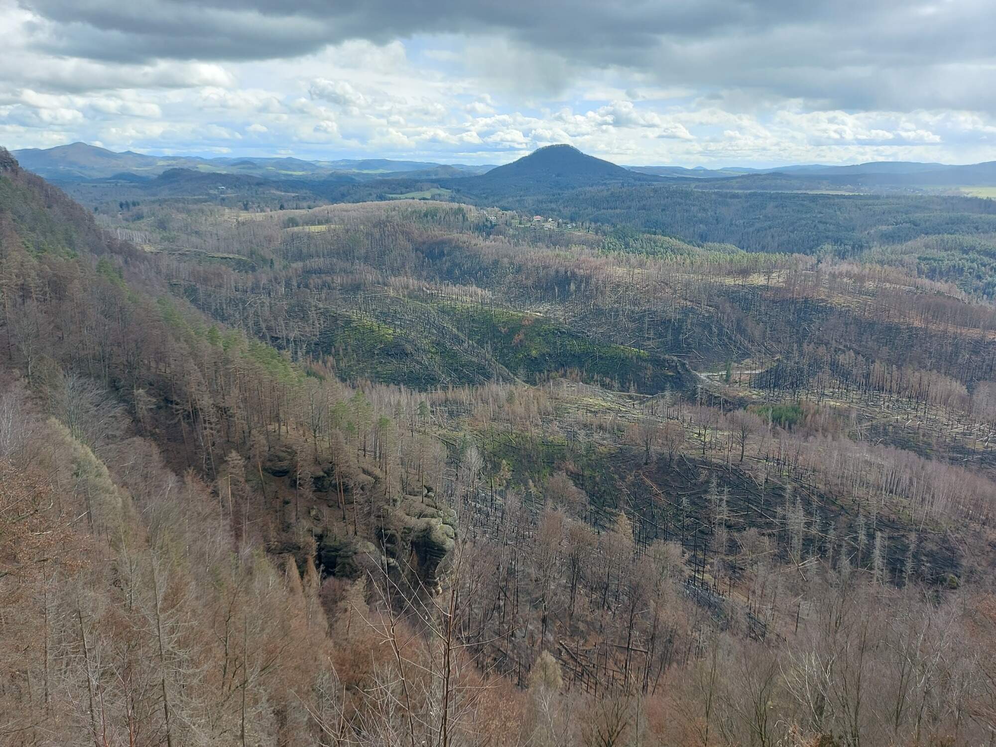 IMG 20230325 131258 HDR 8