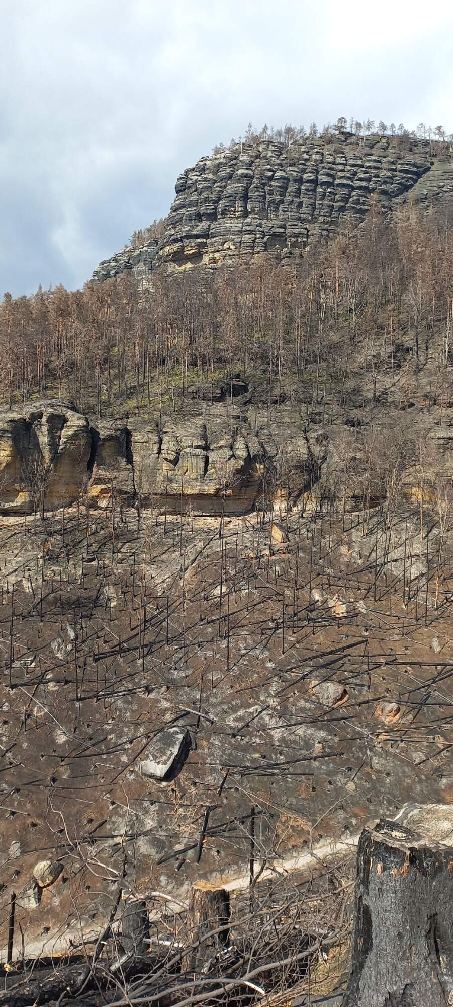 IMG 20230325 131258 HDR 9