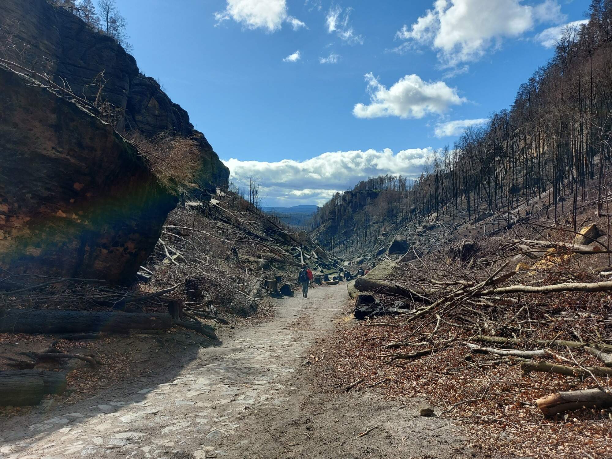 IMG 20230325 132359 HDR 2