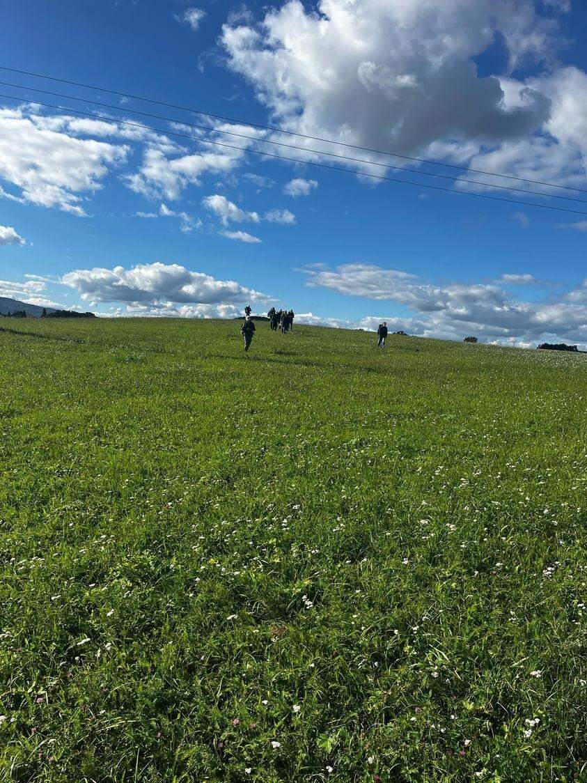 IMG 20241031 153812 739