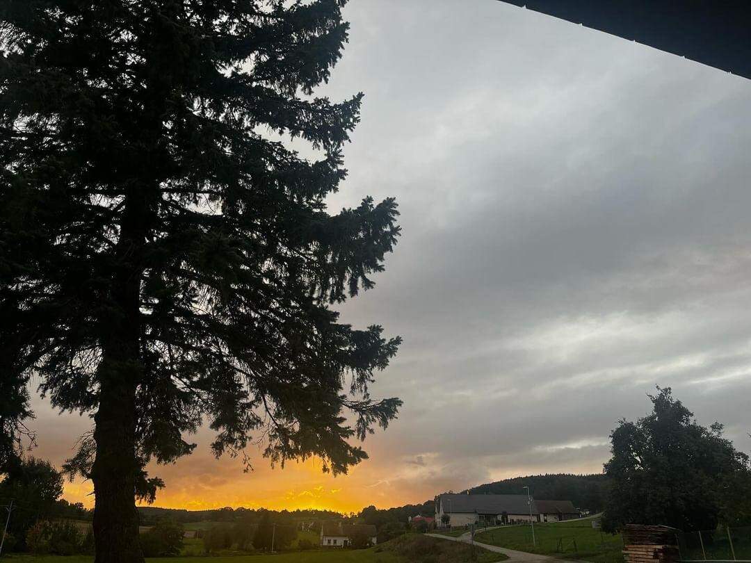 IMG 20241031 153817 914