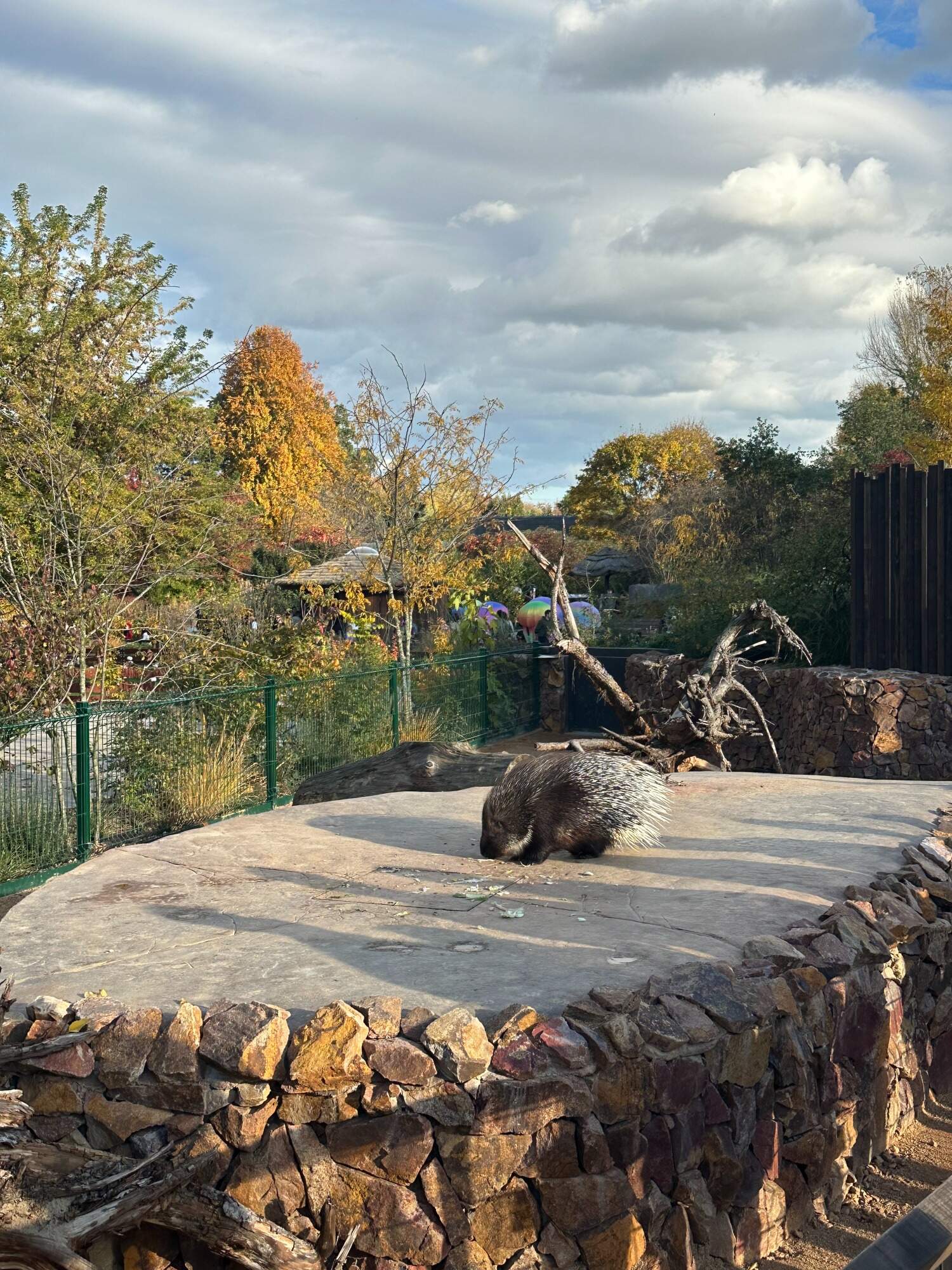 2024 10 28 Na Kun Do Zoo