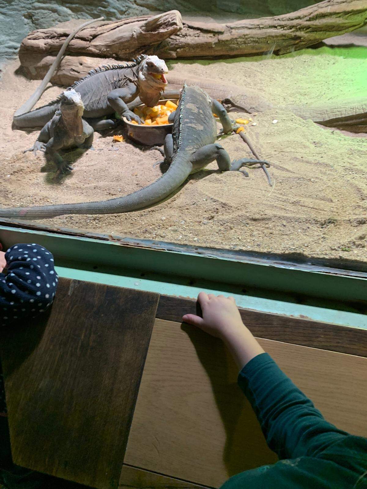 ObrzekWhatsApp2024 10 30v10.45.56 9e85c27a